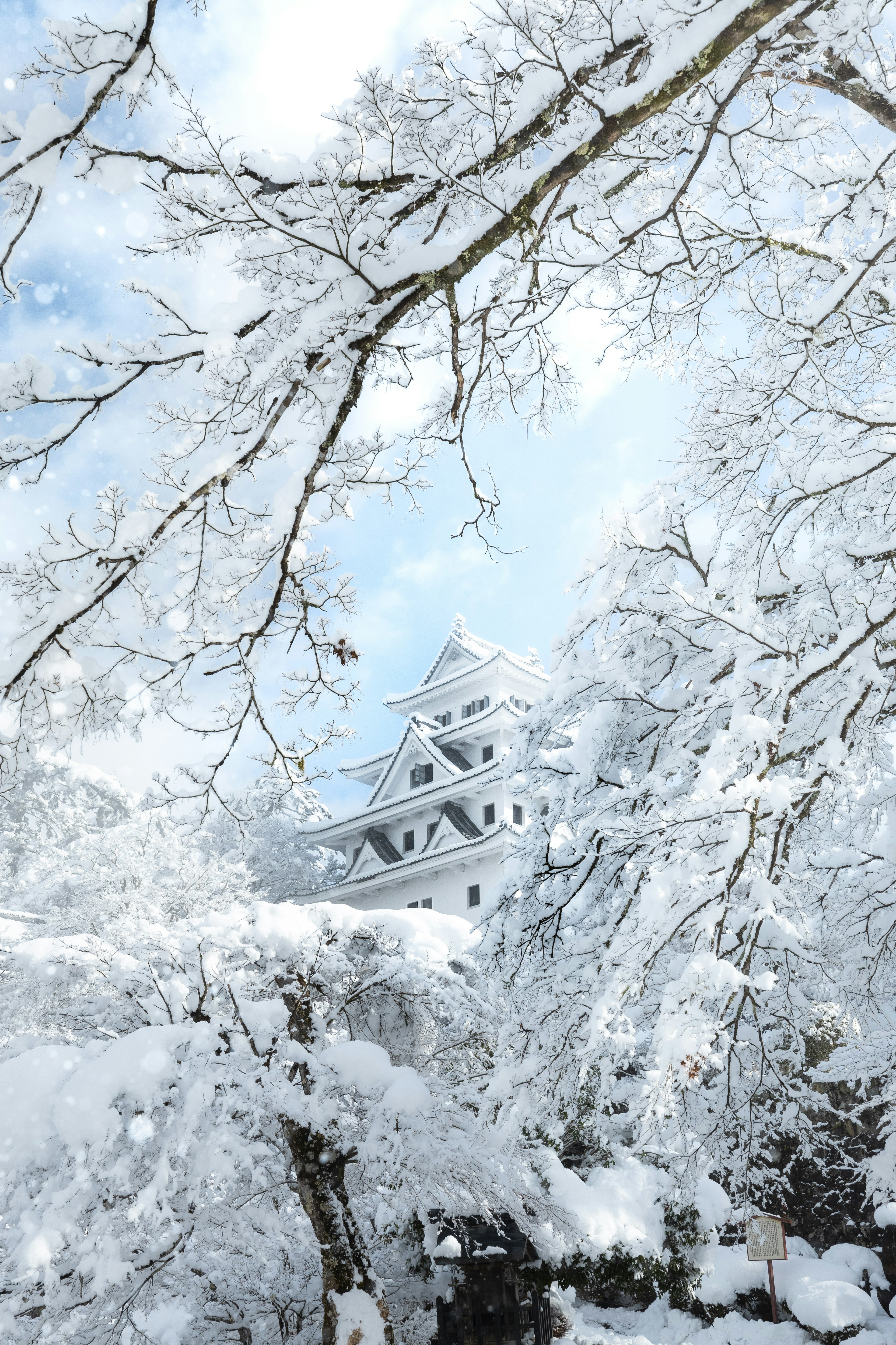 雪に覆われた城と木々の美しい風景