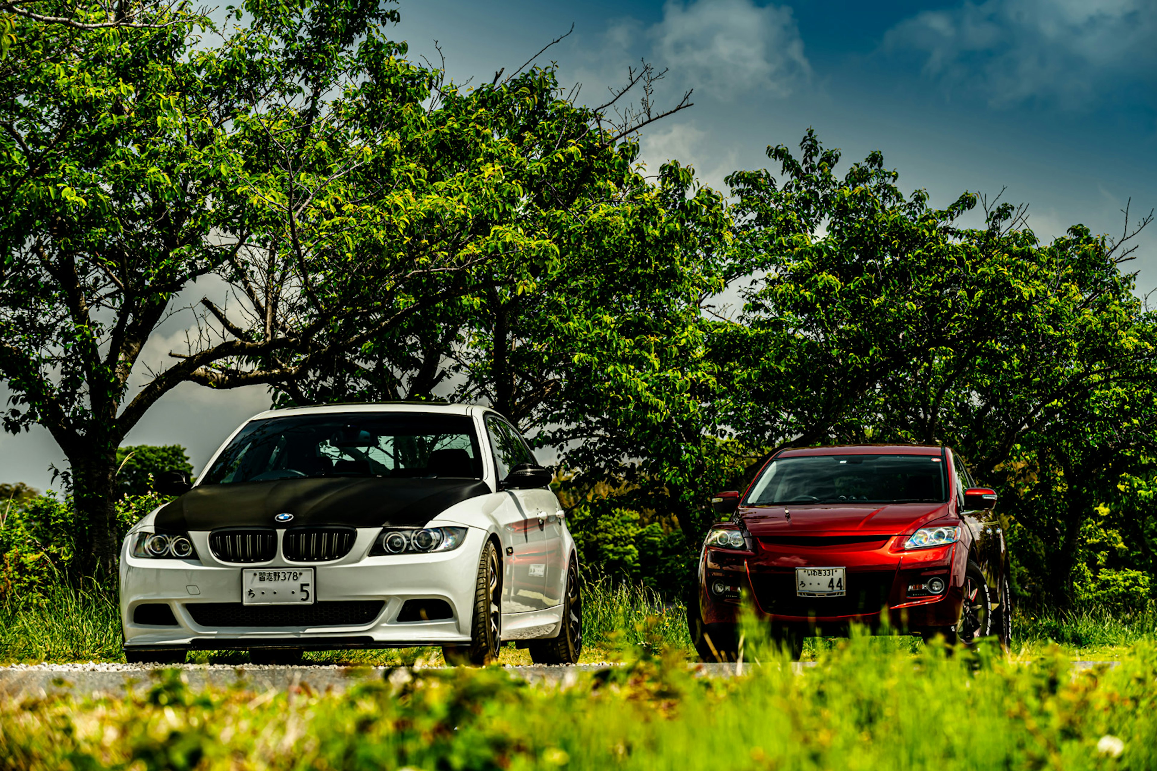 白いBMWと赤い車が緑の木々の間に停まっている風景