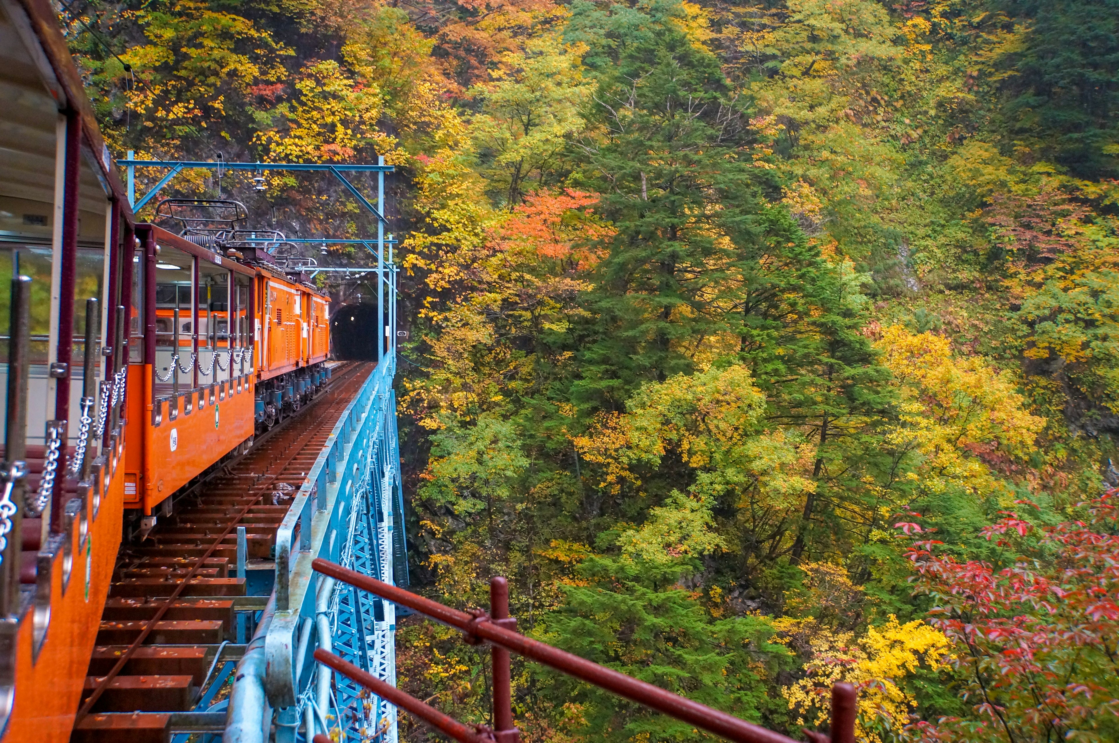 Orange train traveling through autumn foliage and colorful trees