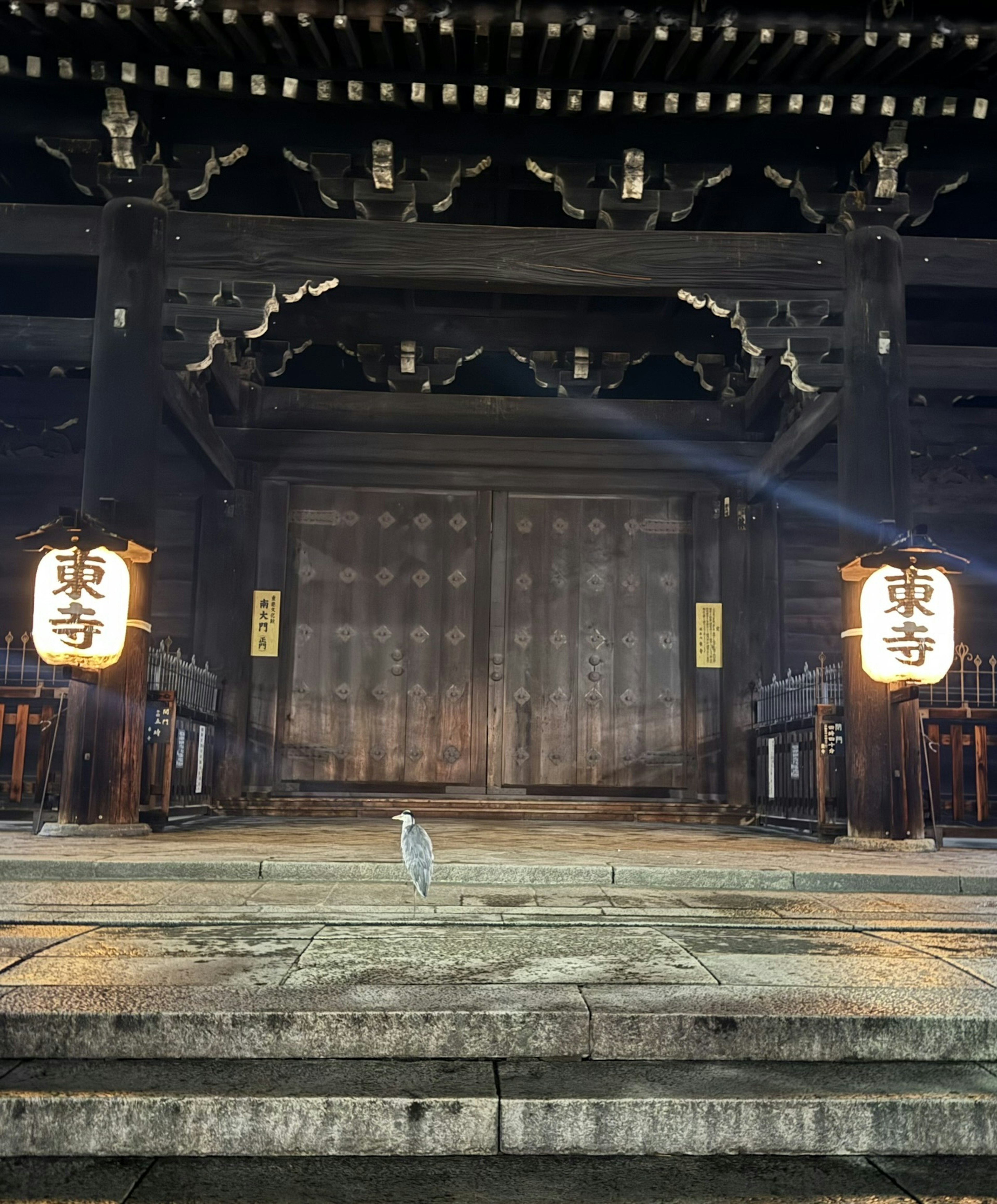 Illuminated entrance of Toji Temple at night with lanterns