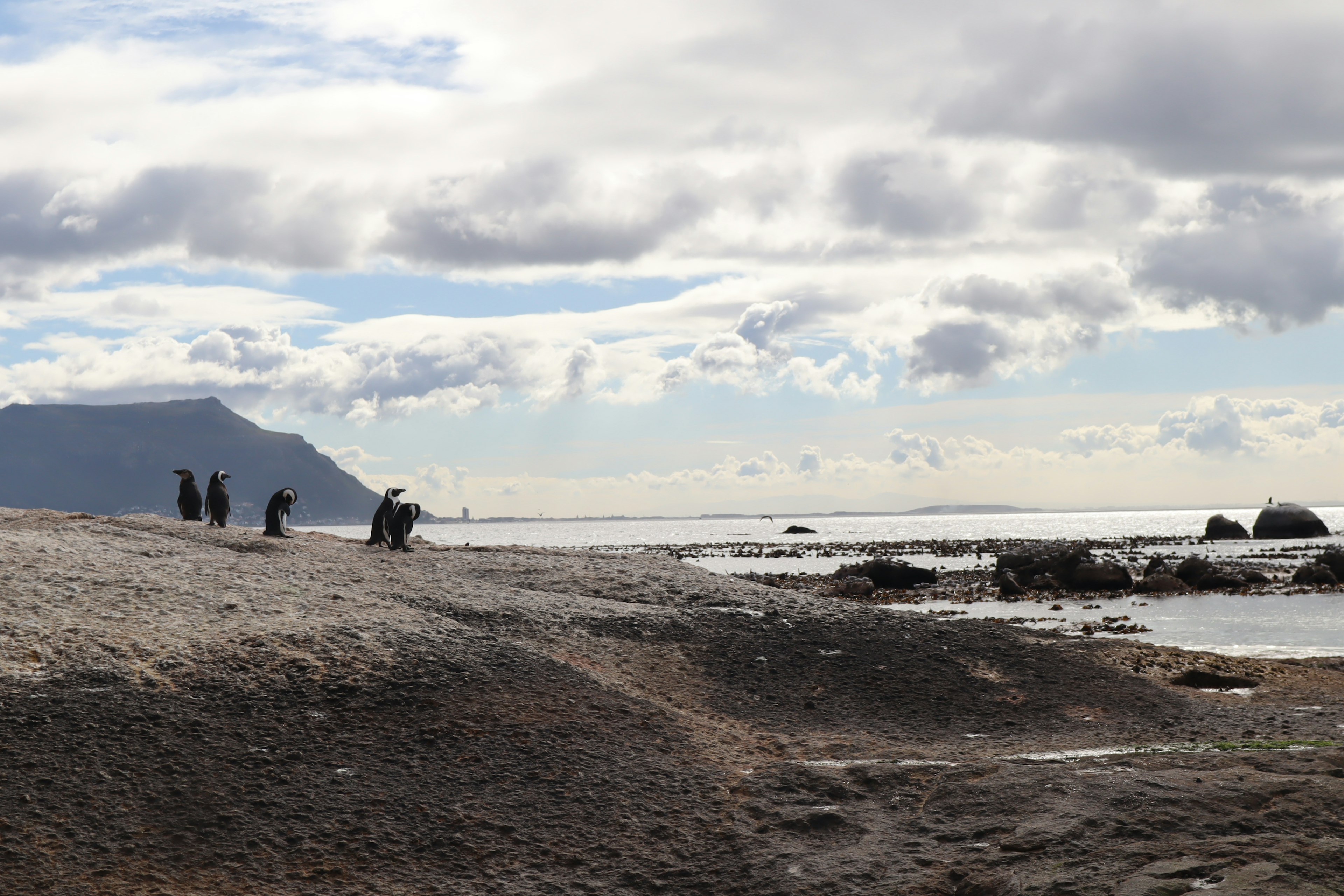 Persone che camminano lungo la spiaggia con un cielo nuvoloso