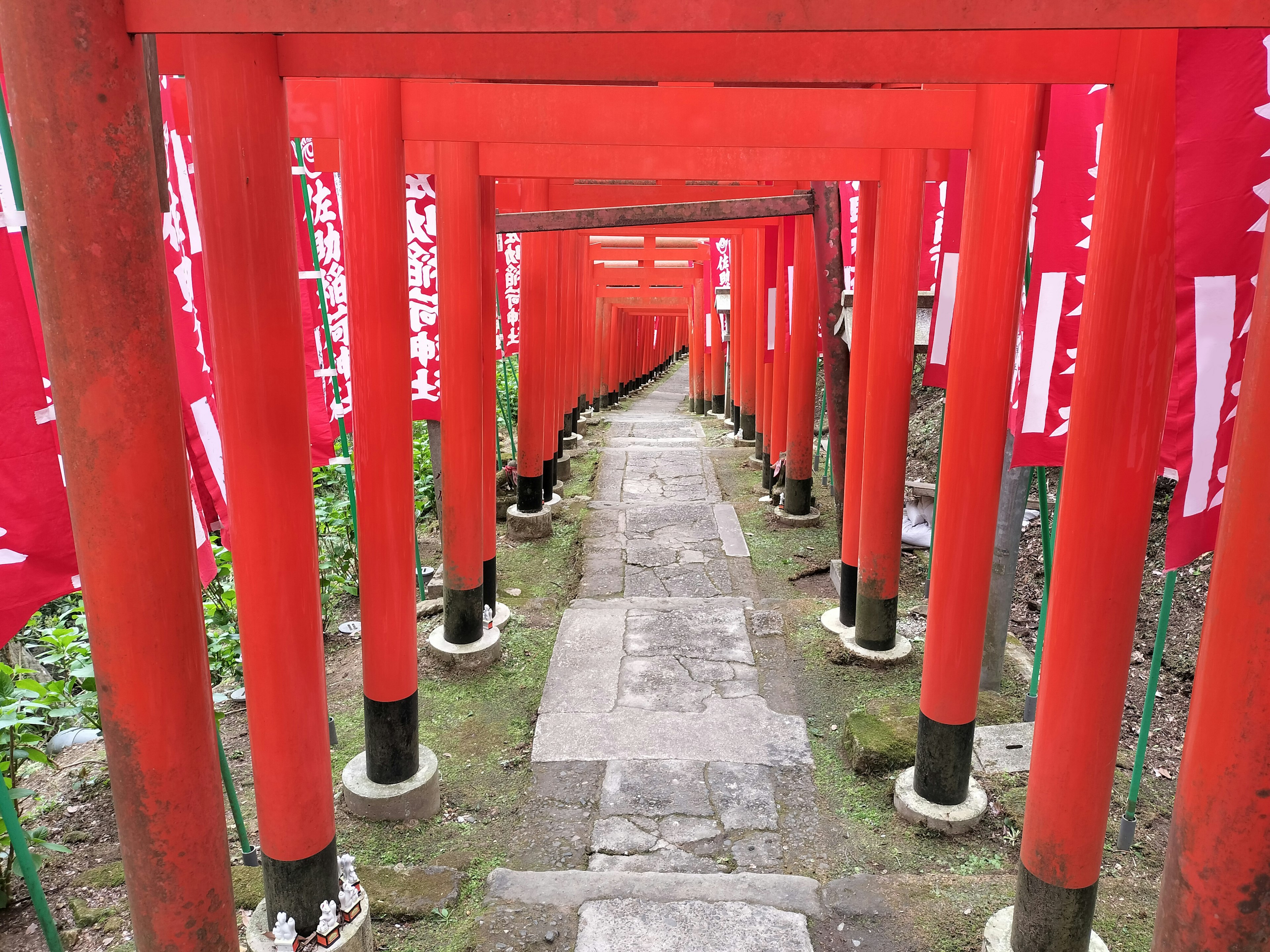 Sentier bordé de torii rouges et chemin en pierre