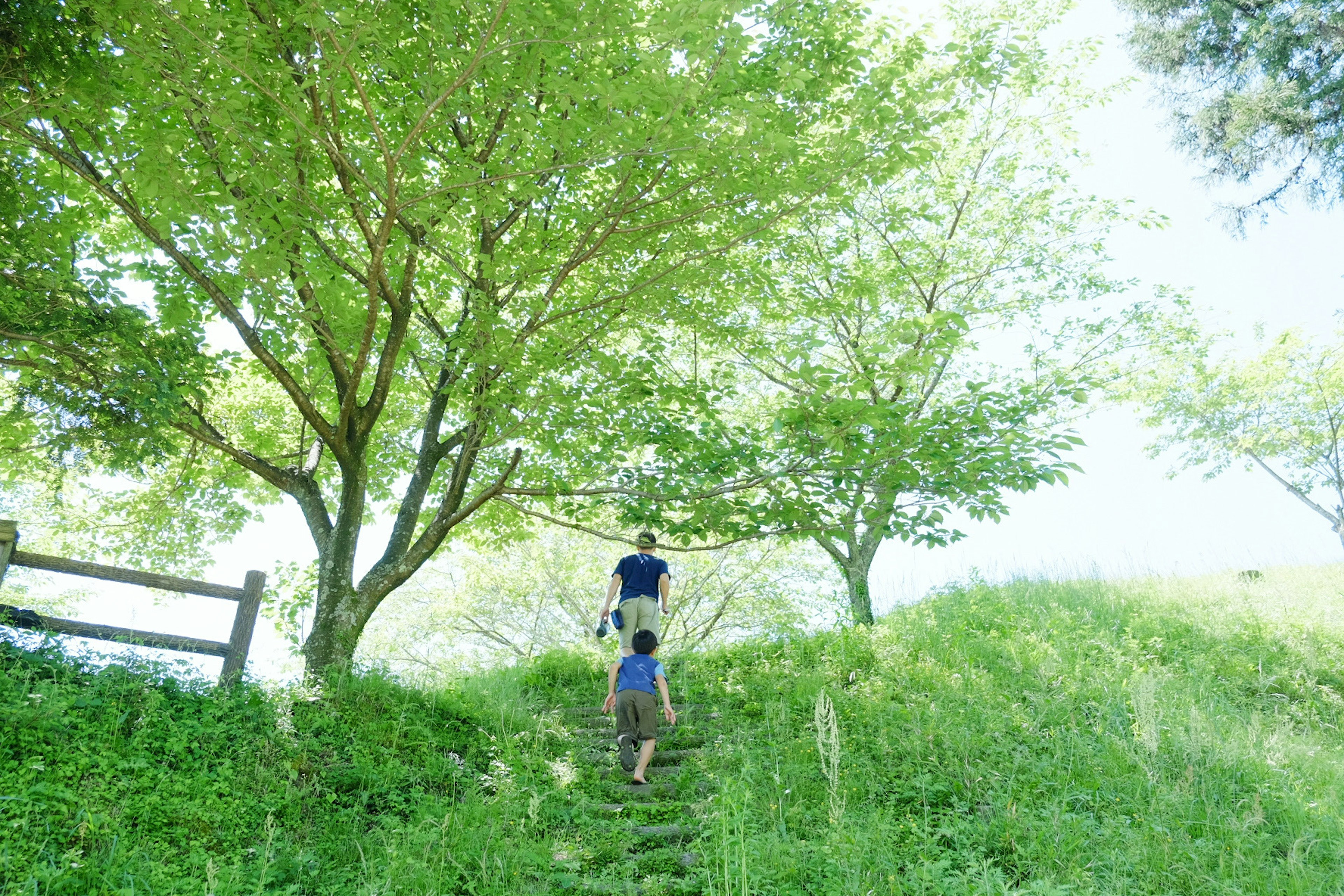 Un padre y un hijo caminando por una colina cubierta de hierba bajo árboles verdes