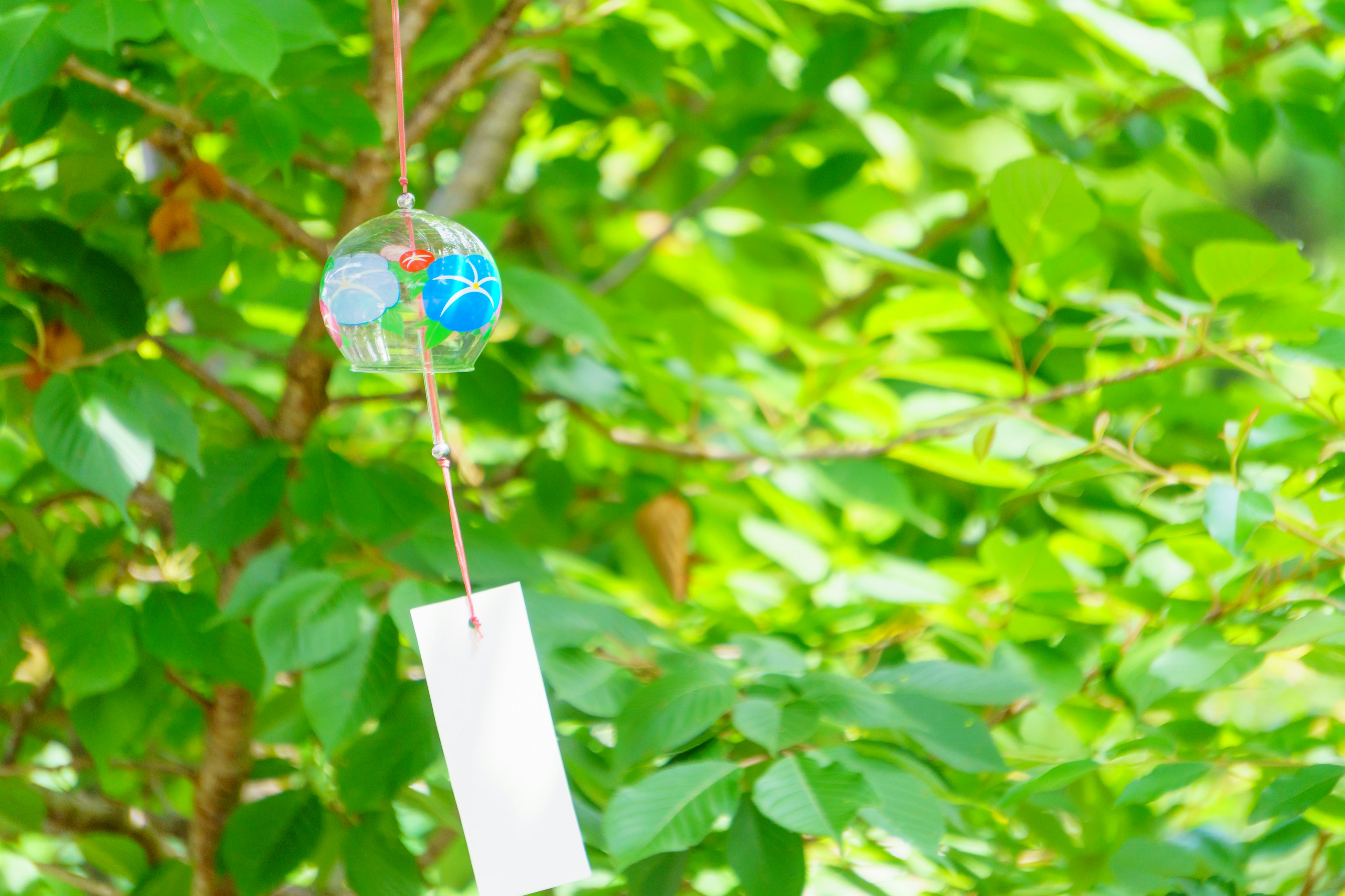 Cloche de vent entourée de feuilles vertes avec une étiquette blanche