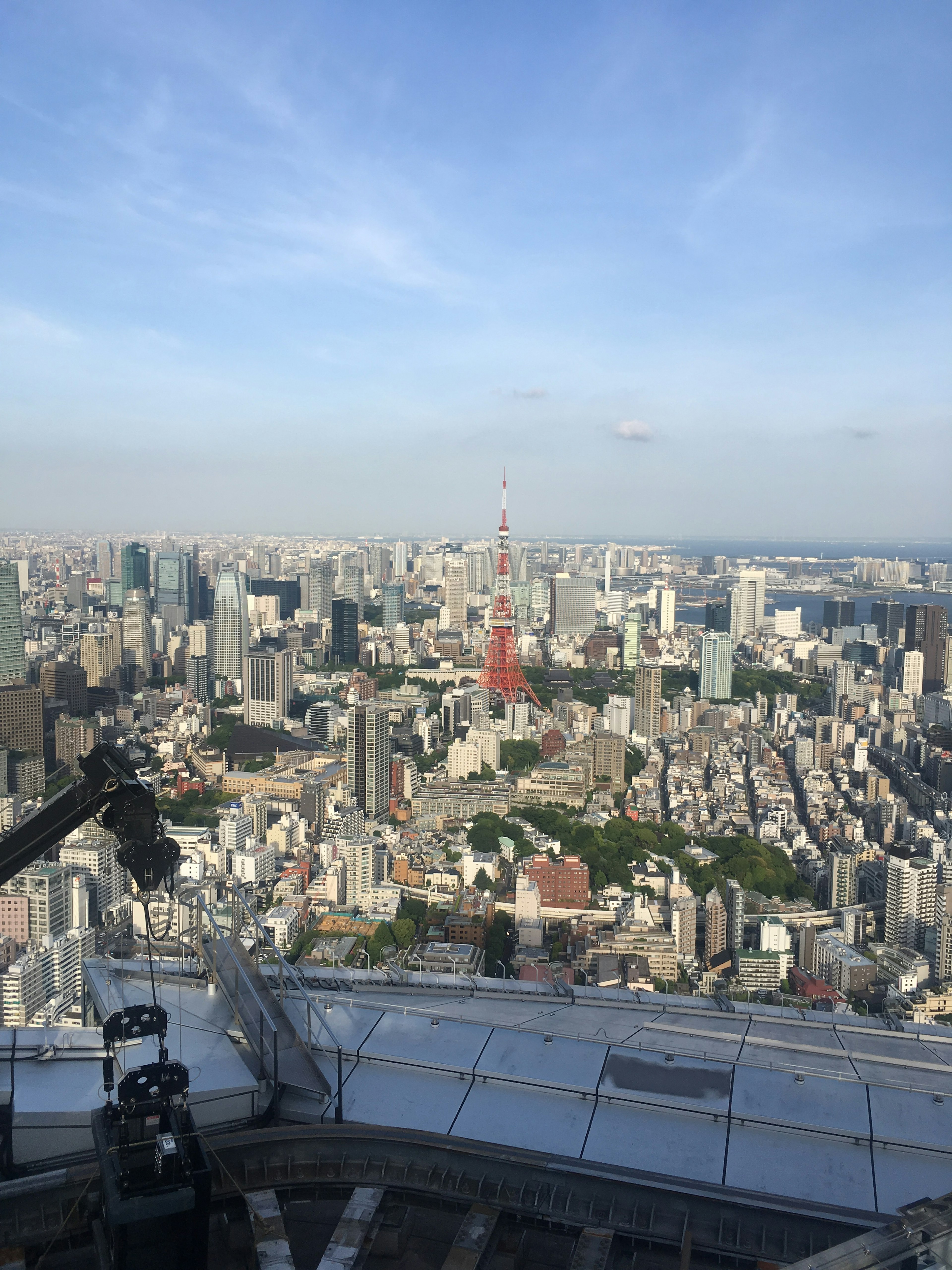 Aerial view of Tokyo skyline featuring Tokyo Tower prominently