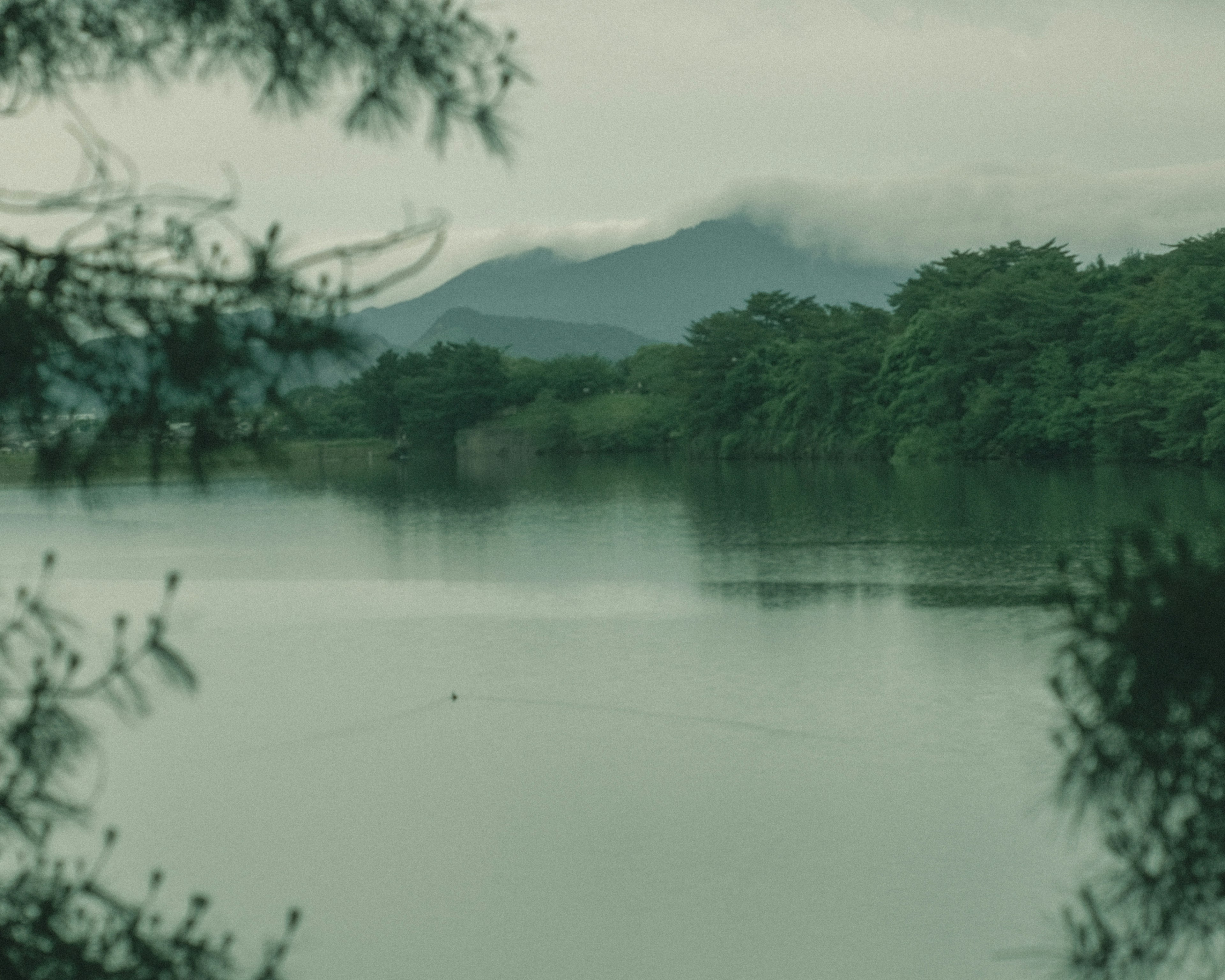 Vue panoramique d'un lac vert entouré de montagnes et d'arbres