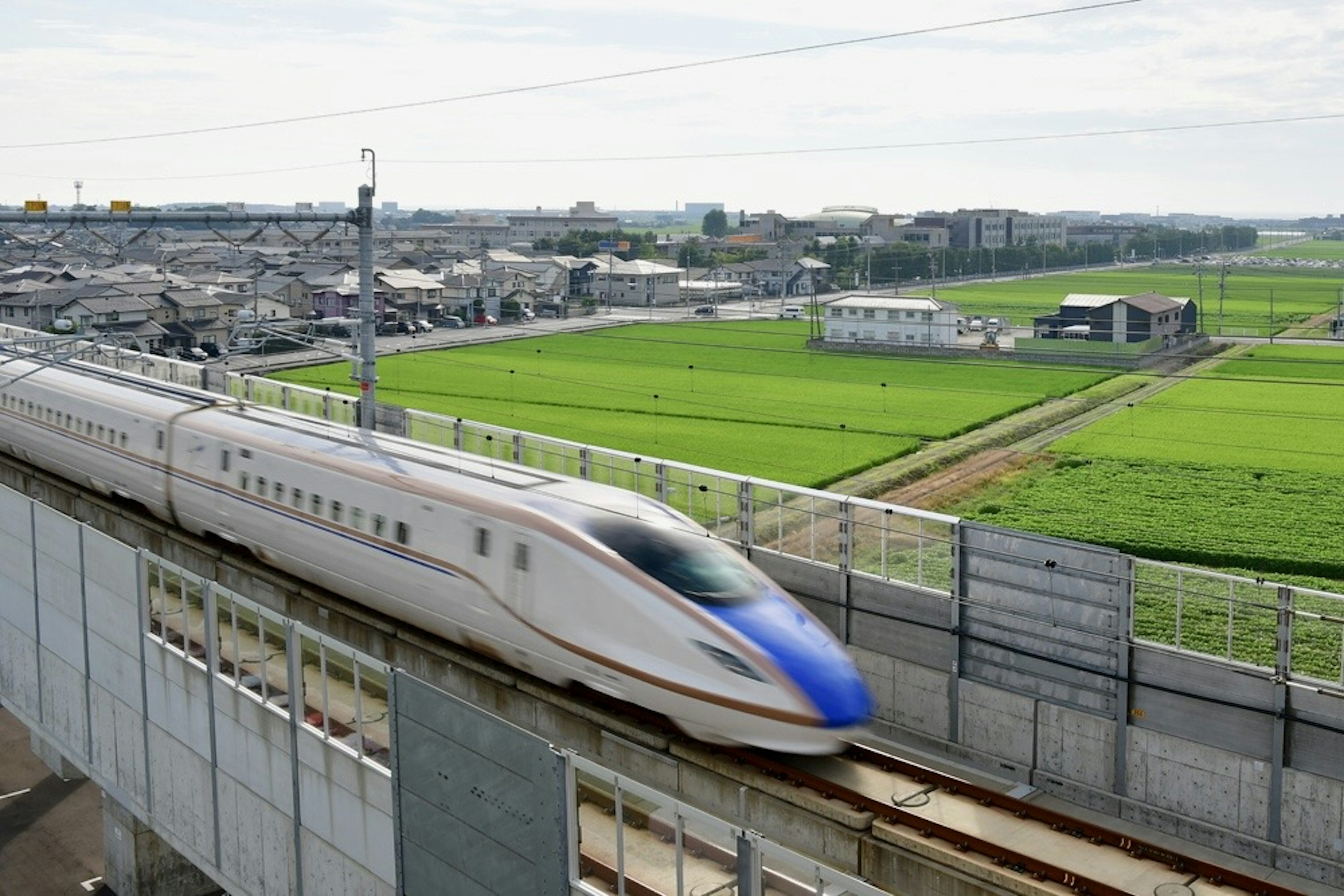 Shinkansen speeding through a green rural landscape