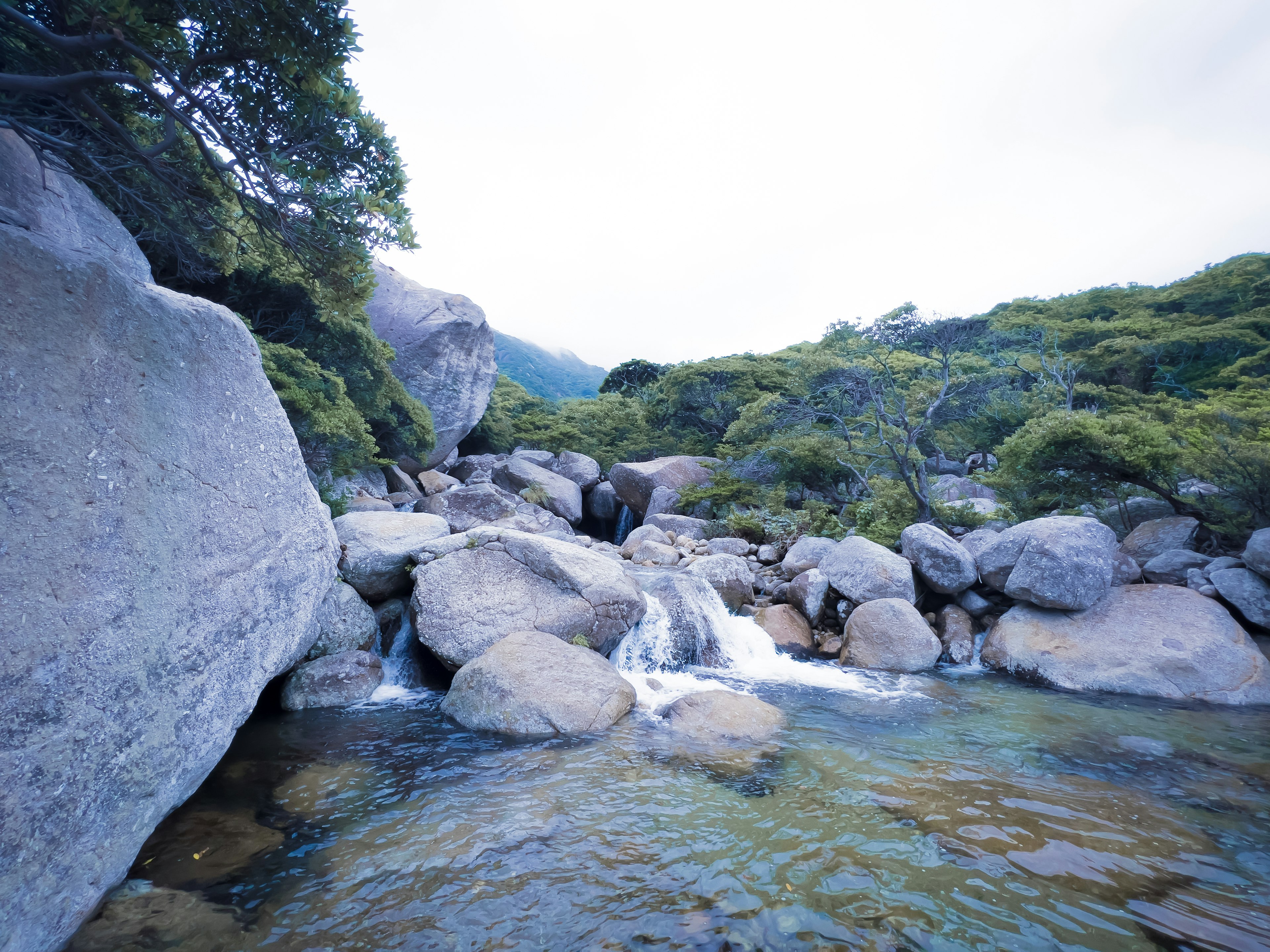 Paisaje sereno rodeado de rocas y agua corriente