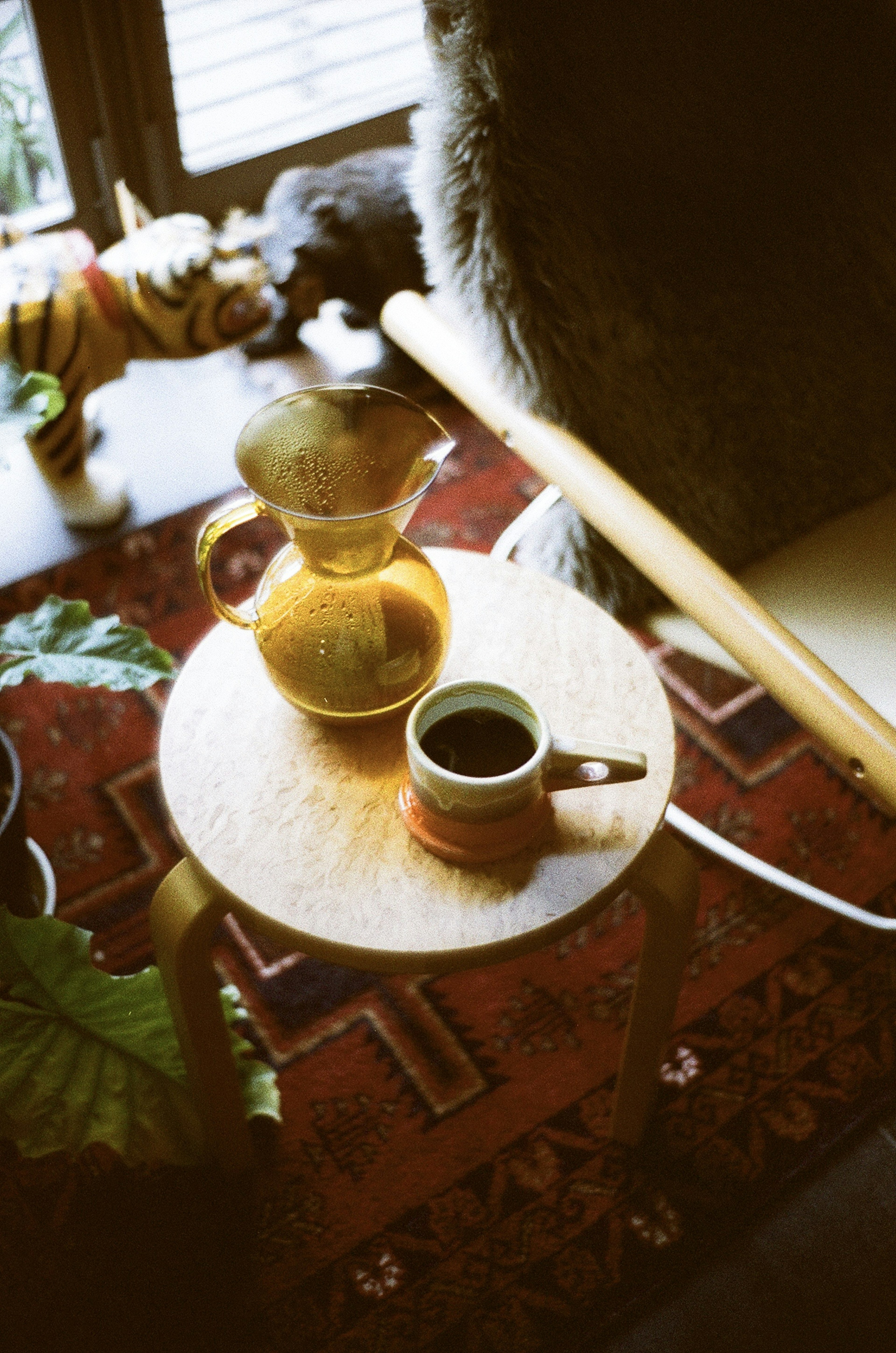 Cangkir kopi dan poci di atas bangku kayu dengan sinar matahari masuk melalui jendela dan tanaman di latar belakang