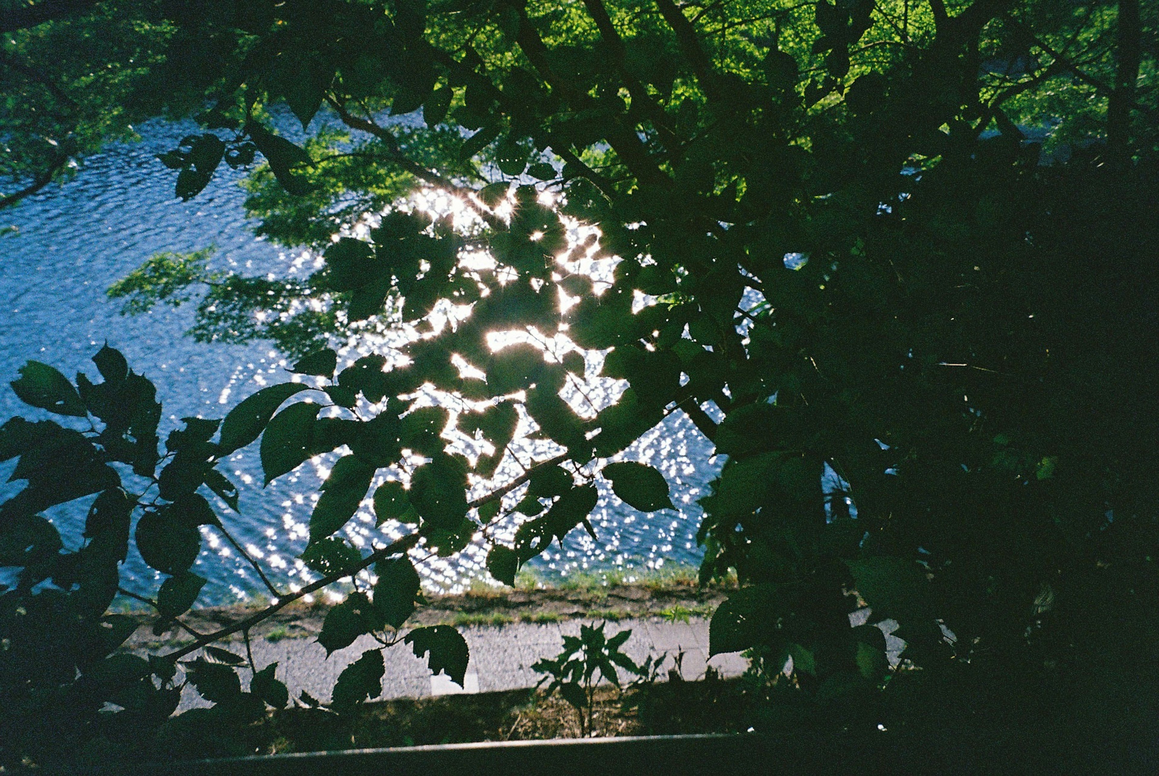 photo-zfKJFGbfmp7qToeAZ1UC-image