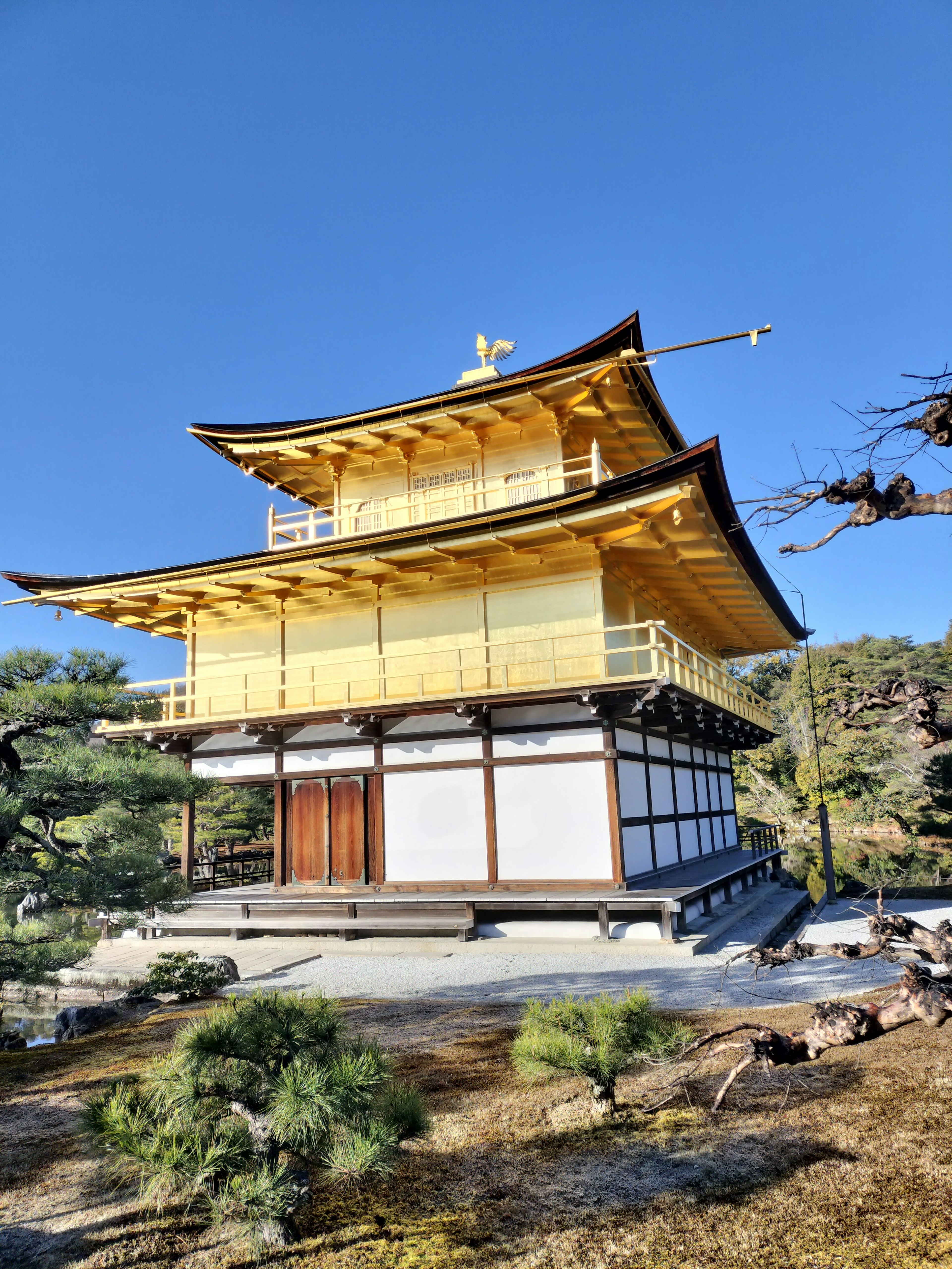 Chùa Kinkaku-ji với ngoại thất vàng và bầu trời xanh