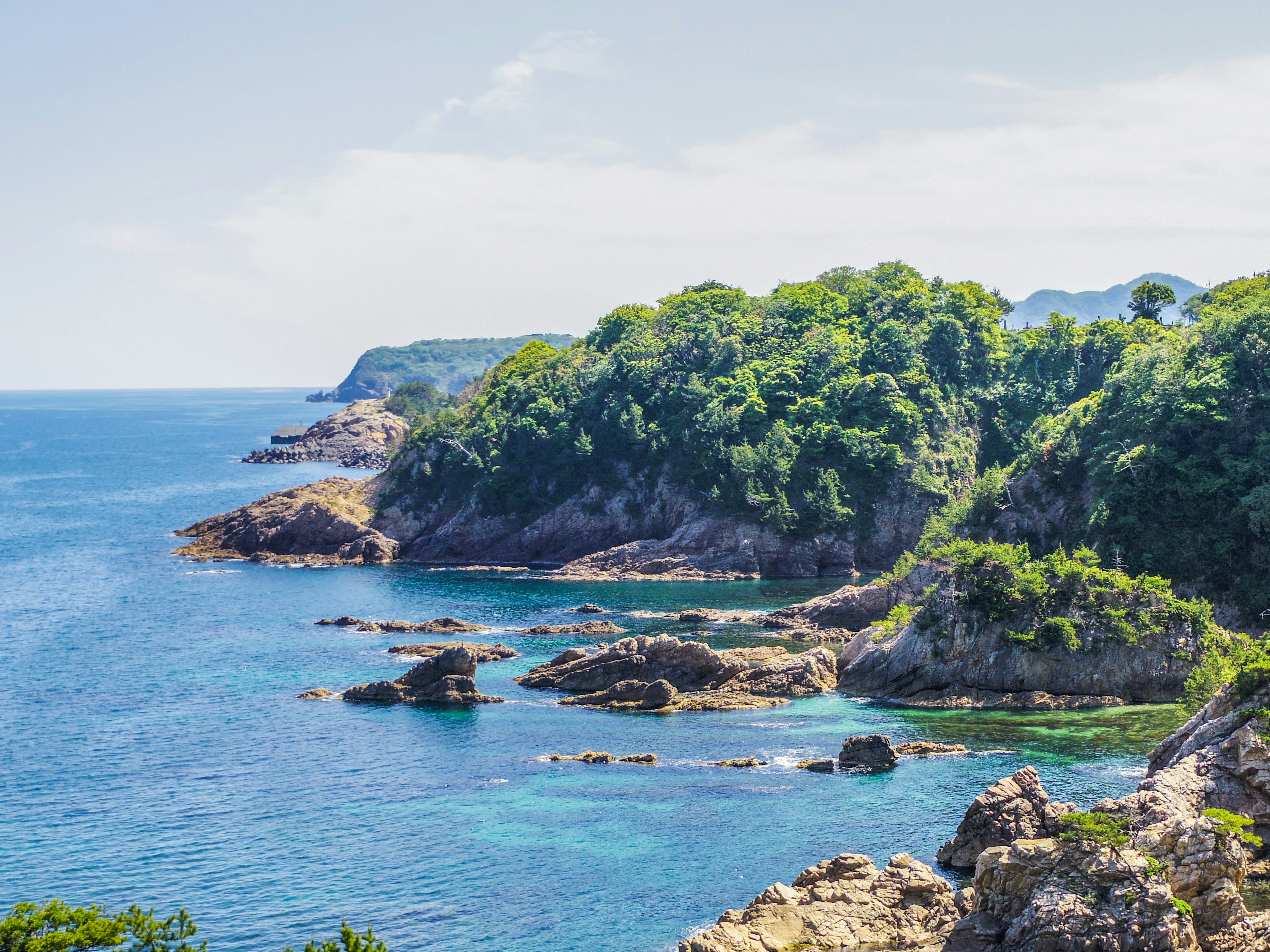 Costa panoramica con mare blu e vegetazione lussureggiante