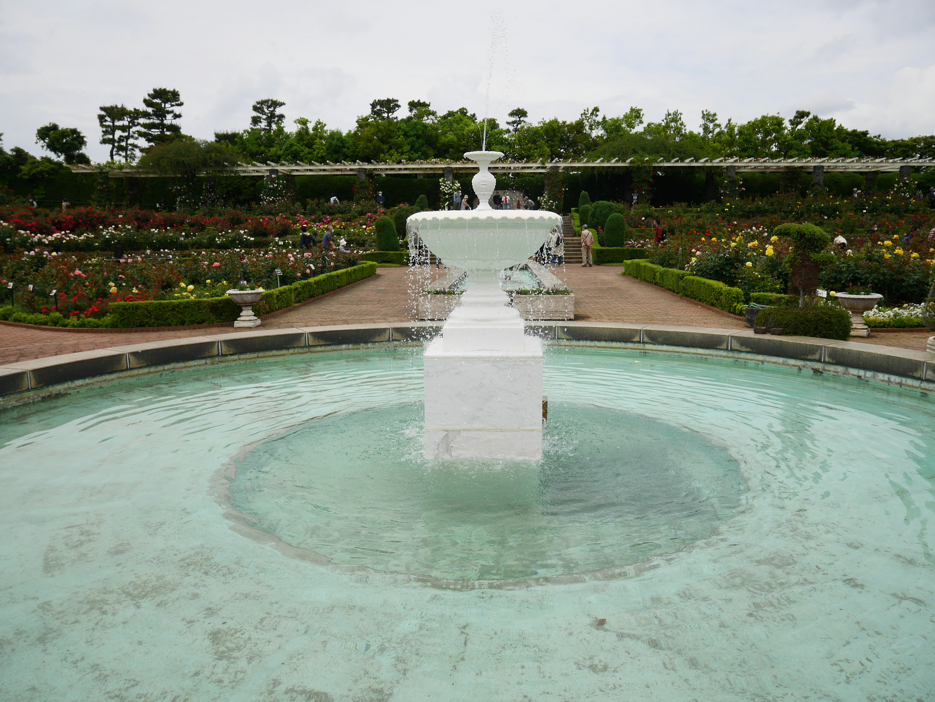 Un beau jardin avec une fontaine blanche au centre d'un étang