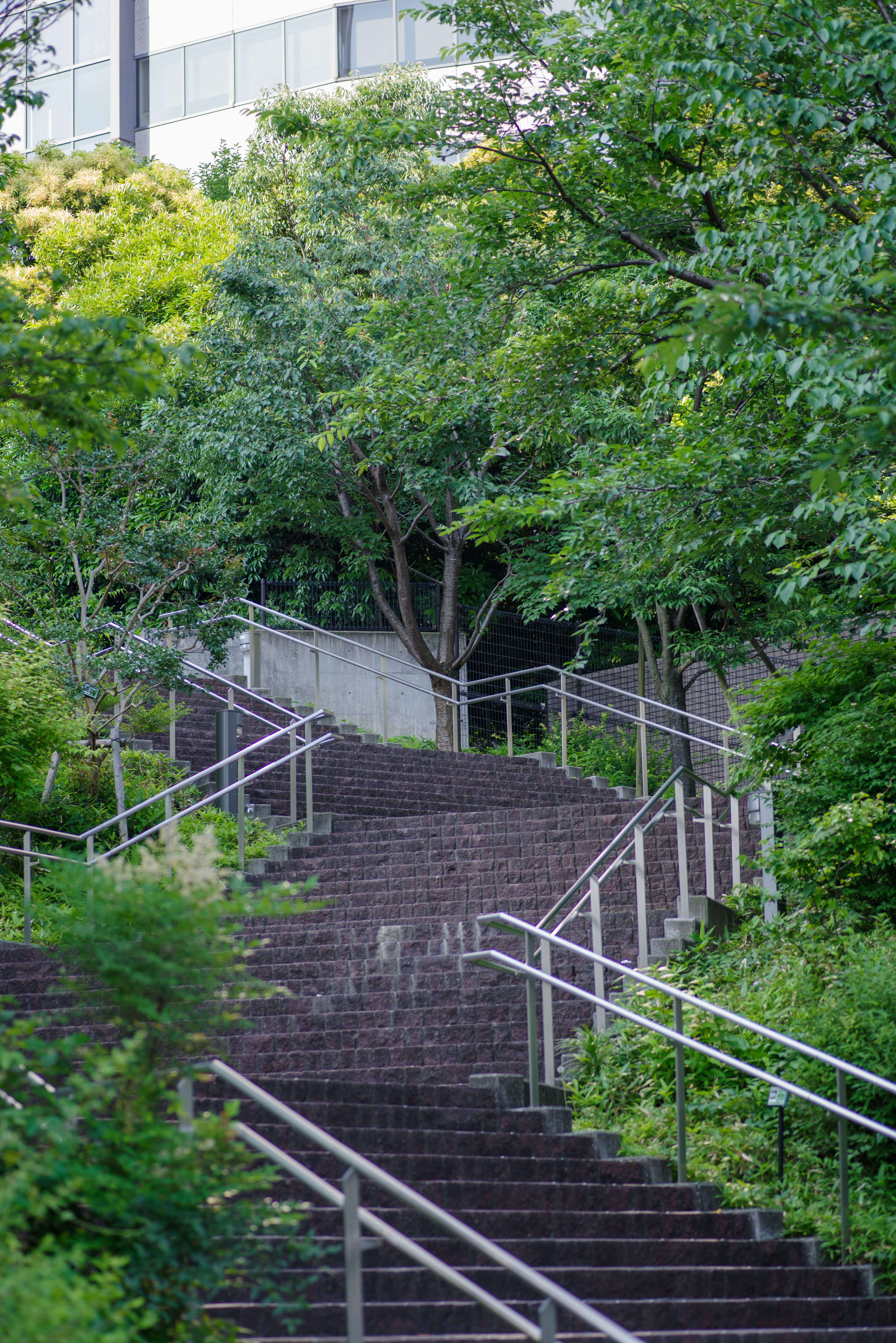 Eine Landschaft mit Treppen, umgeben von Grün und Geländern