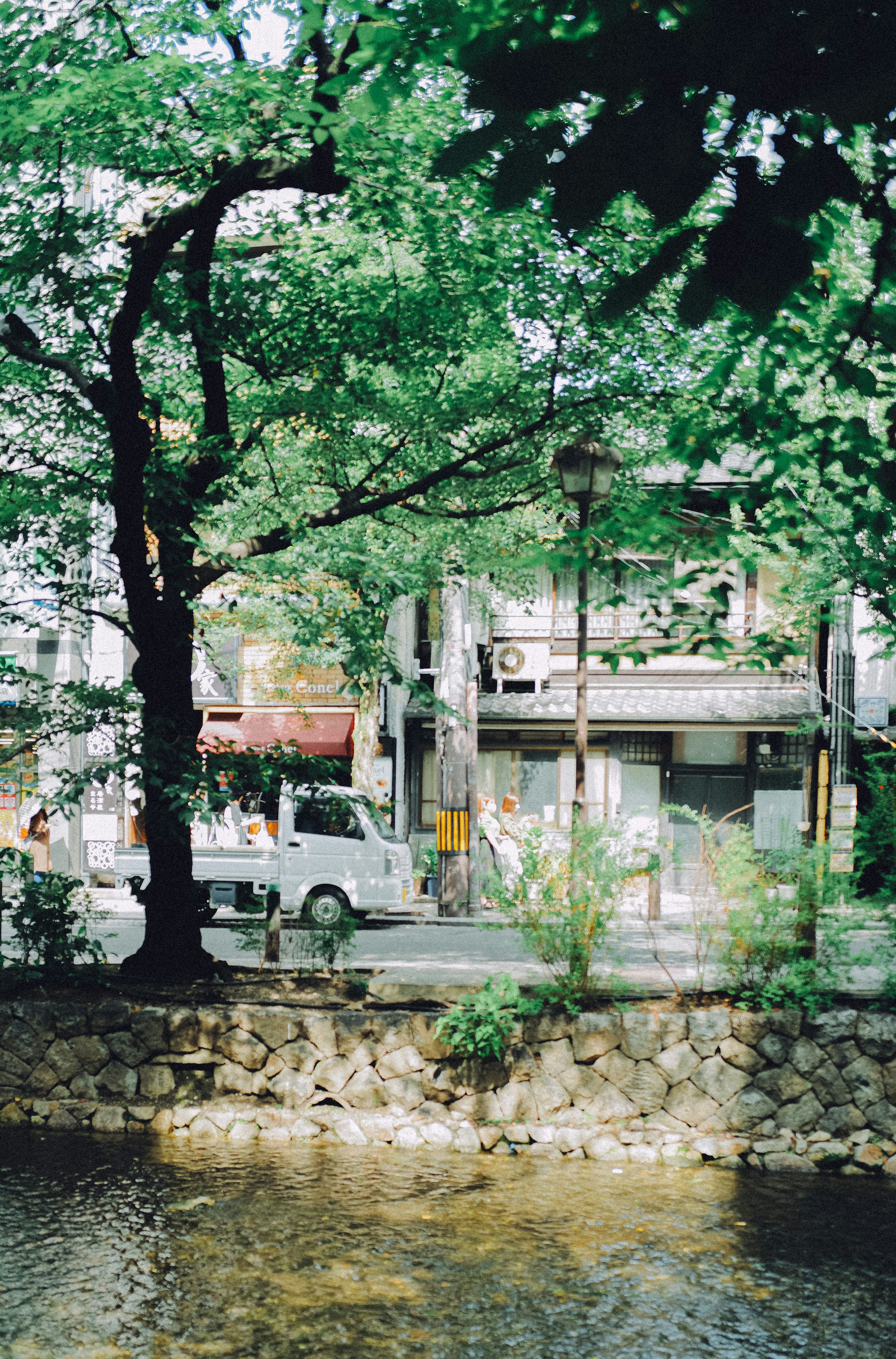 緑の木々と川の景色に囲まれた都市の風景