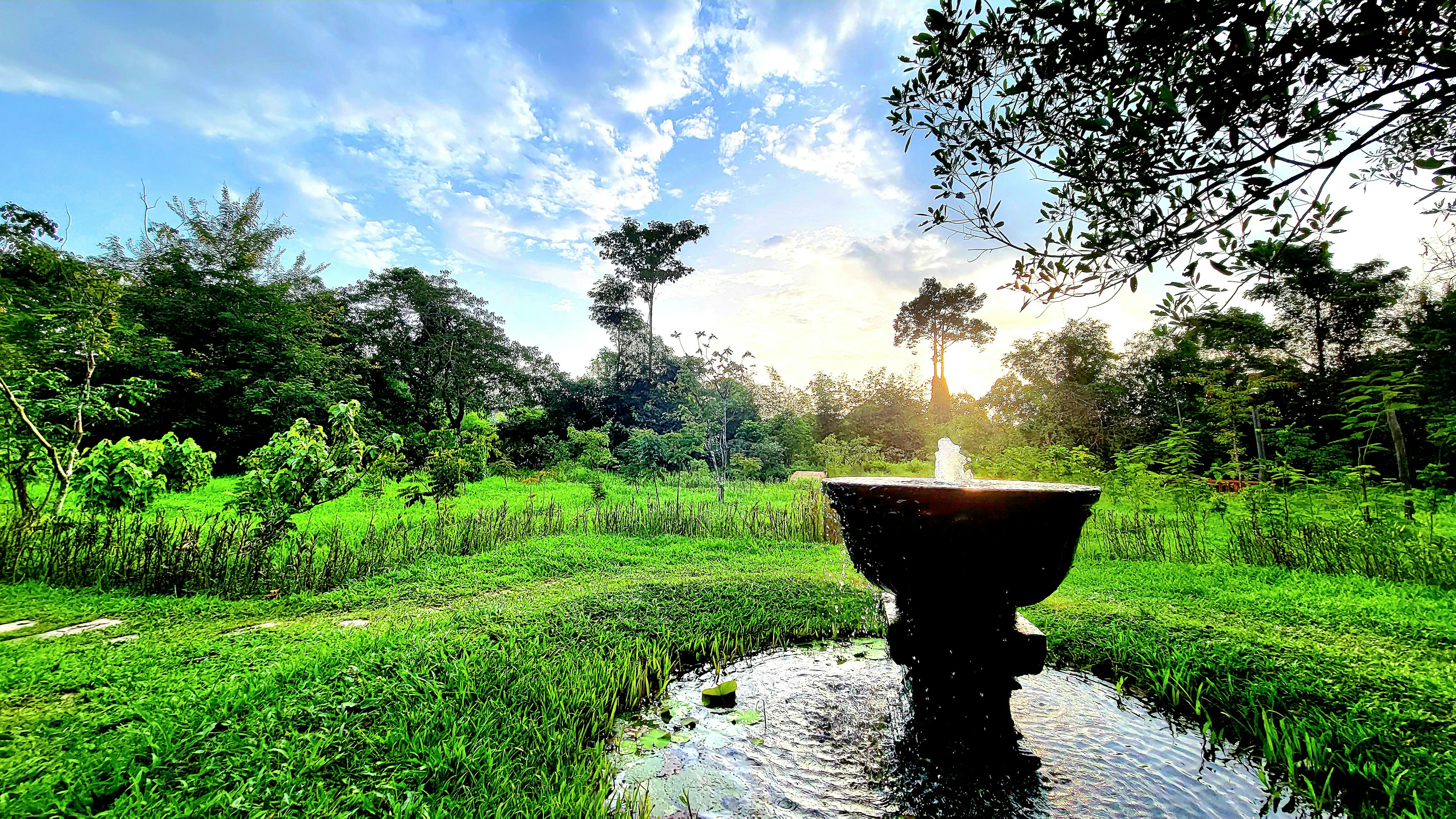 Pemandangan indah dari air mancur dikelilingi oleh pepohonan hijau dan langit cerah