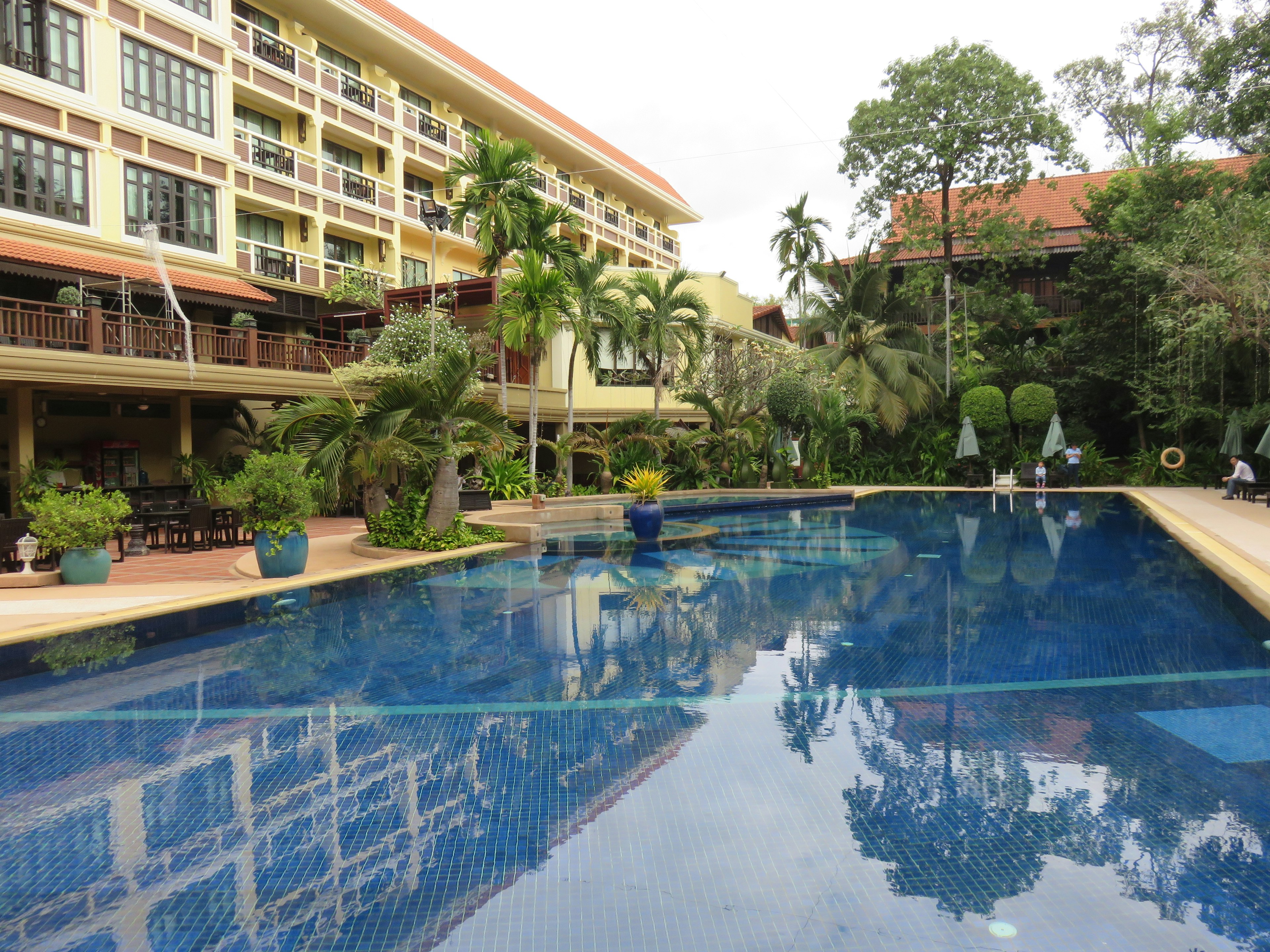 Hotel pool surrounded by lush greenery