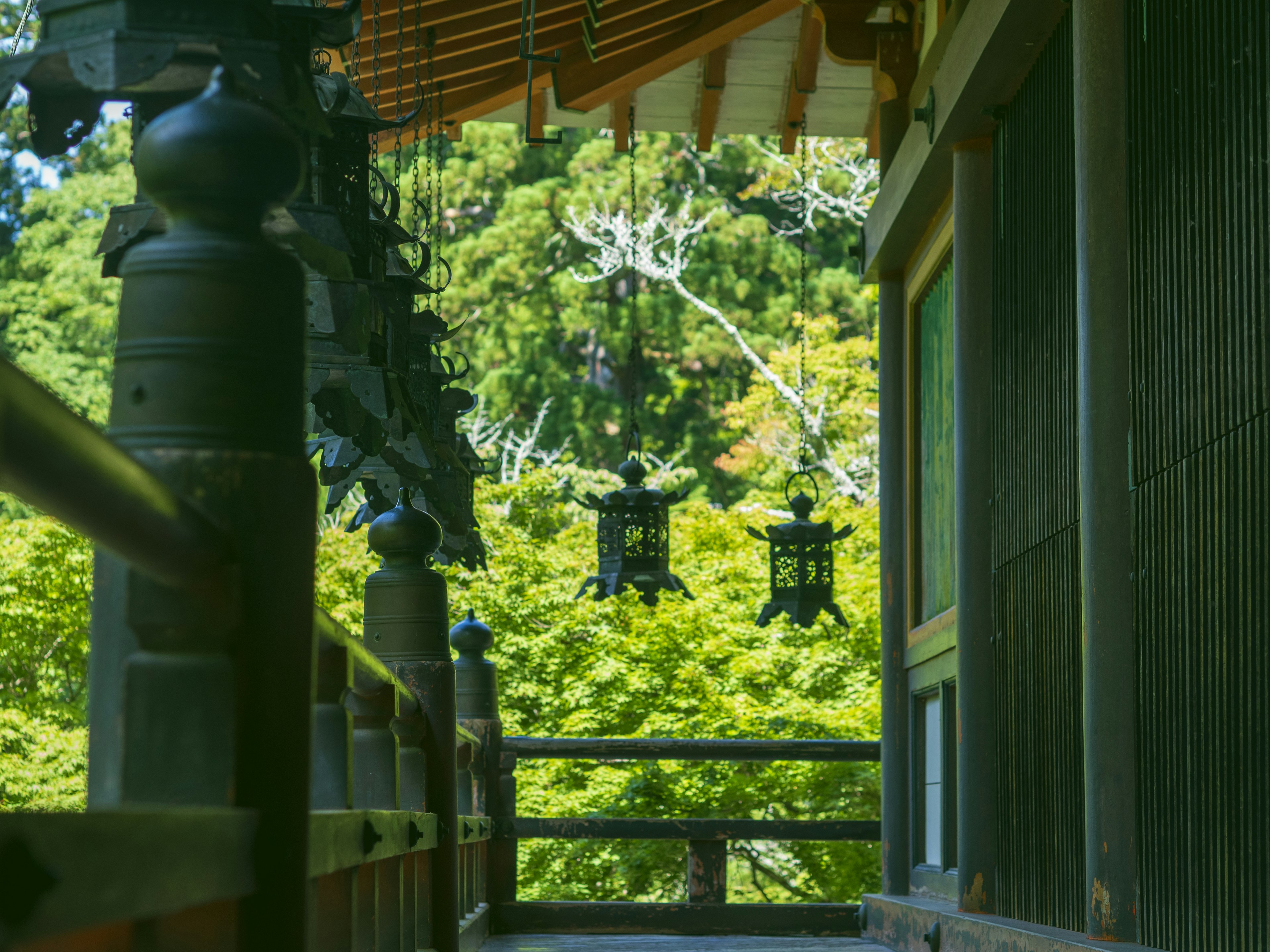 Temple corridor surrounded by greenery with hanging lanterns and wooden railing