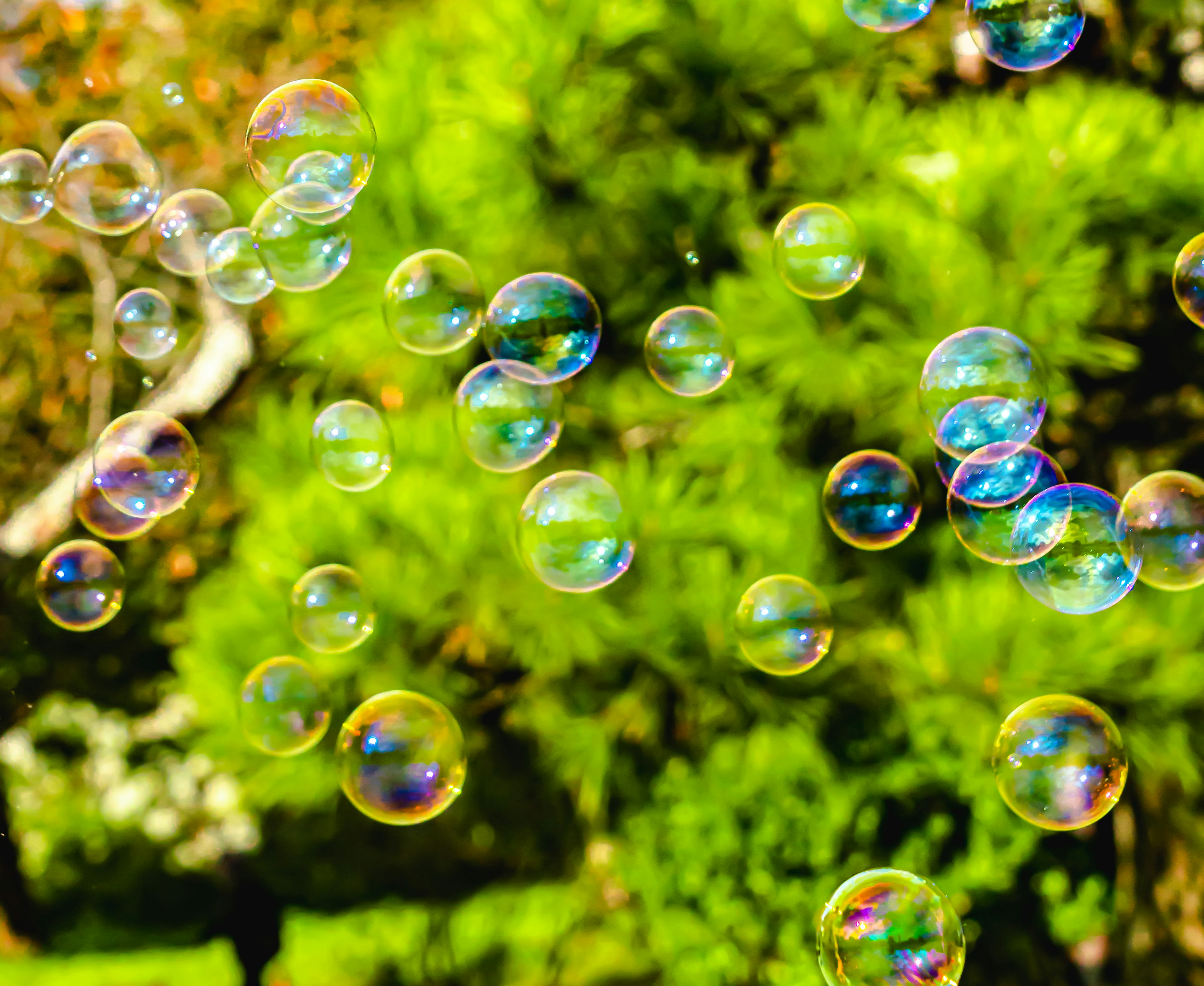 Des bulles colorées flottant sur un fond vert vif