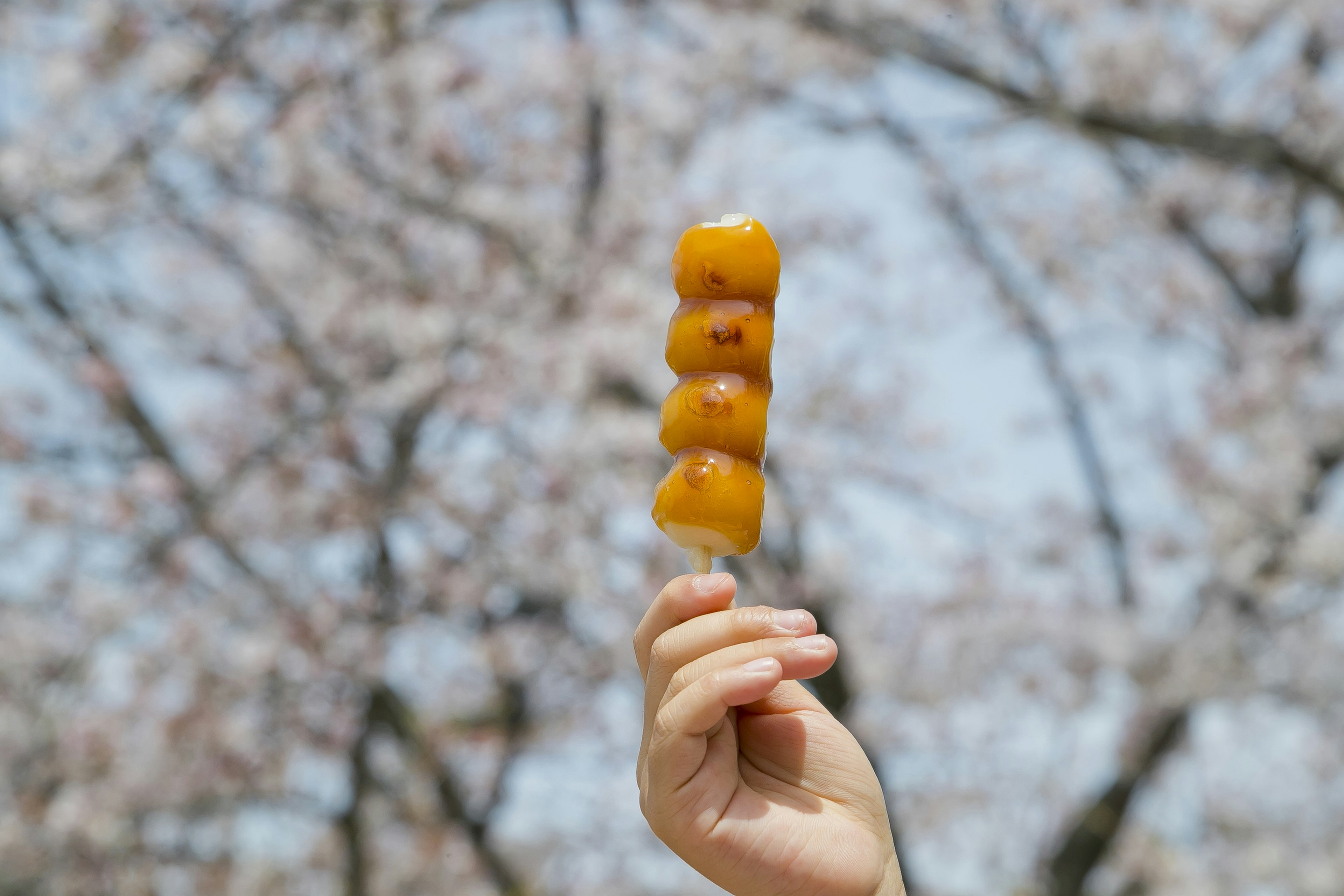 Mano sosteniendo un pincho de bolitas amarillas con fondo de cerezos en flor