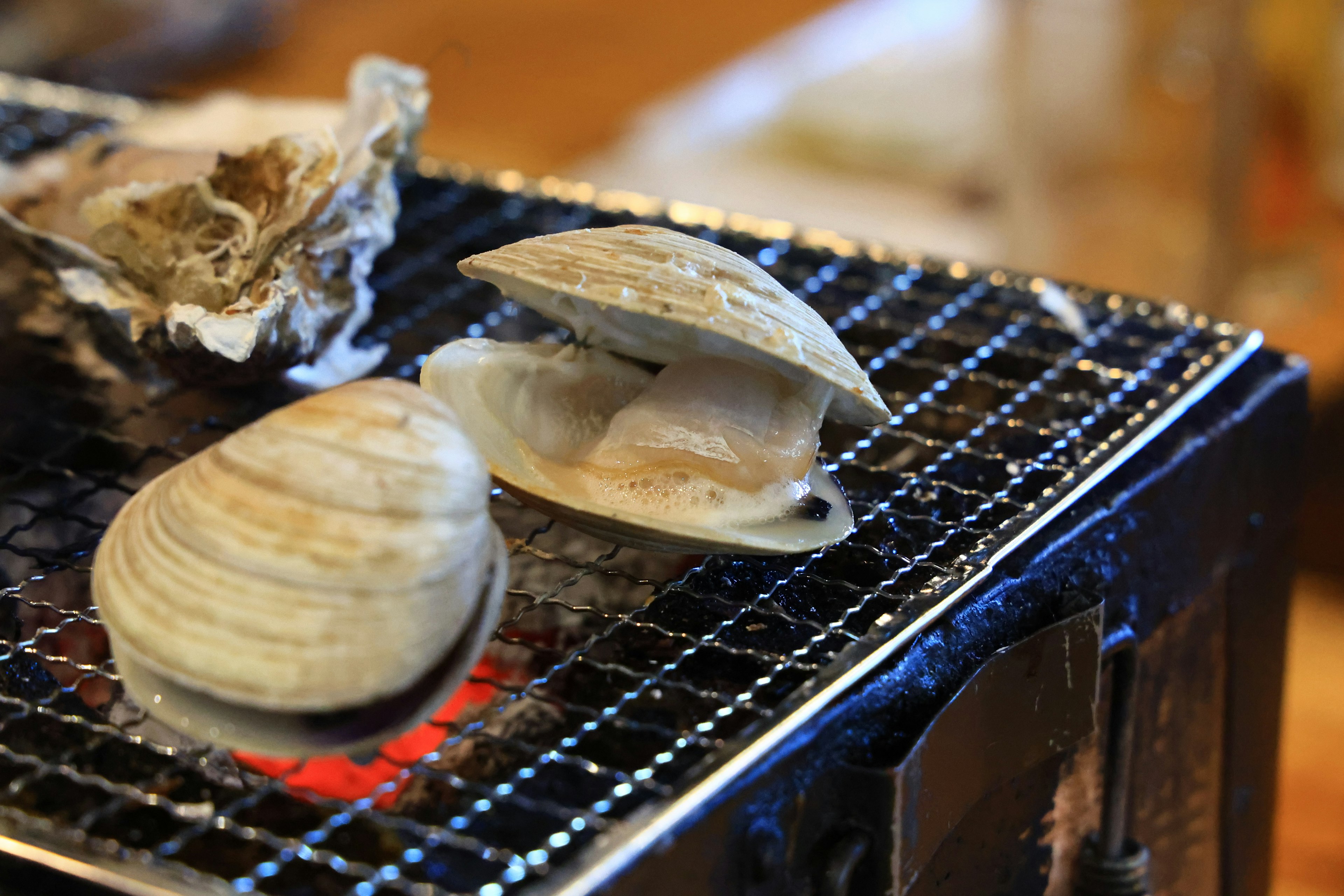 Clams and raw oysters on a grill