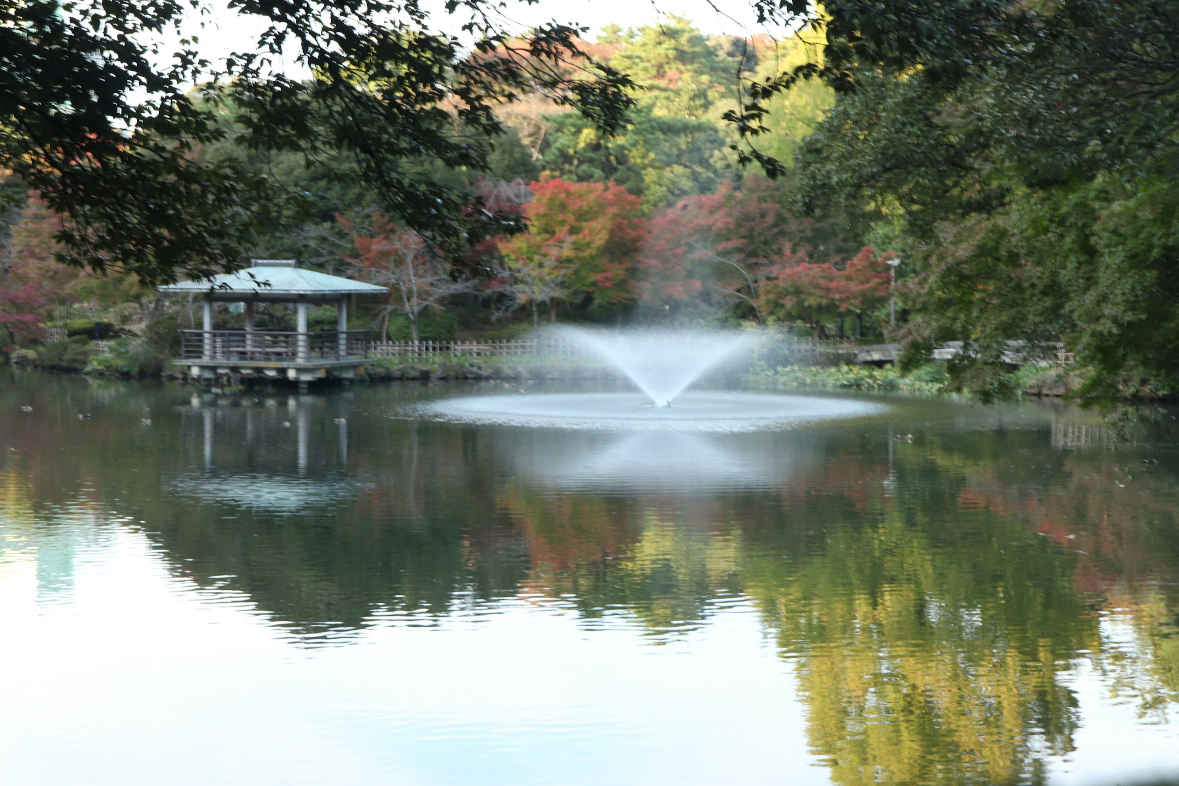 Serene pond with a beautiful fountain and colorful trees