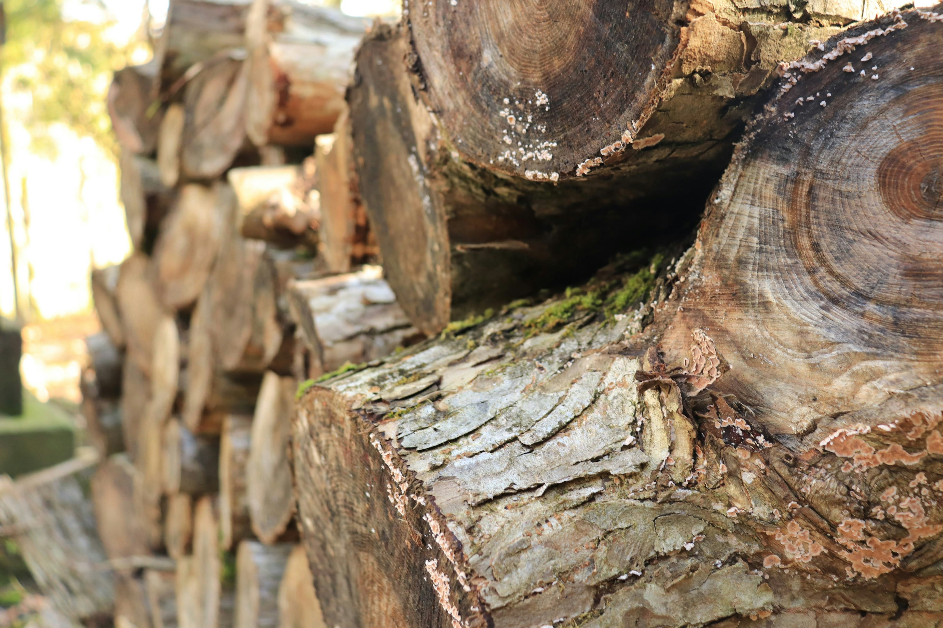 Gambar kayu yang ditumpuk dengan kulit dan tekstur yang terlihat