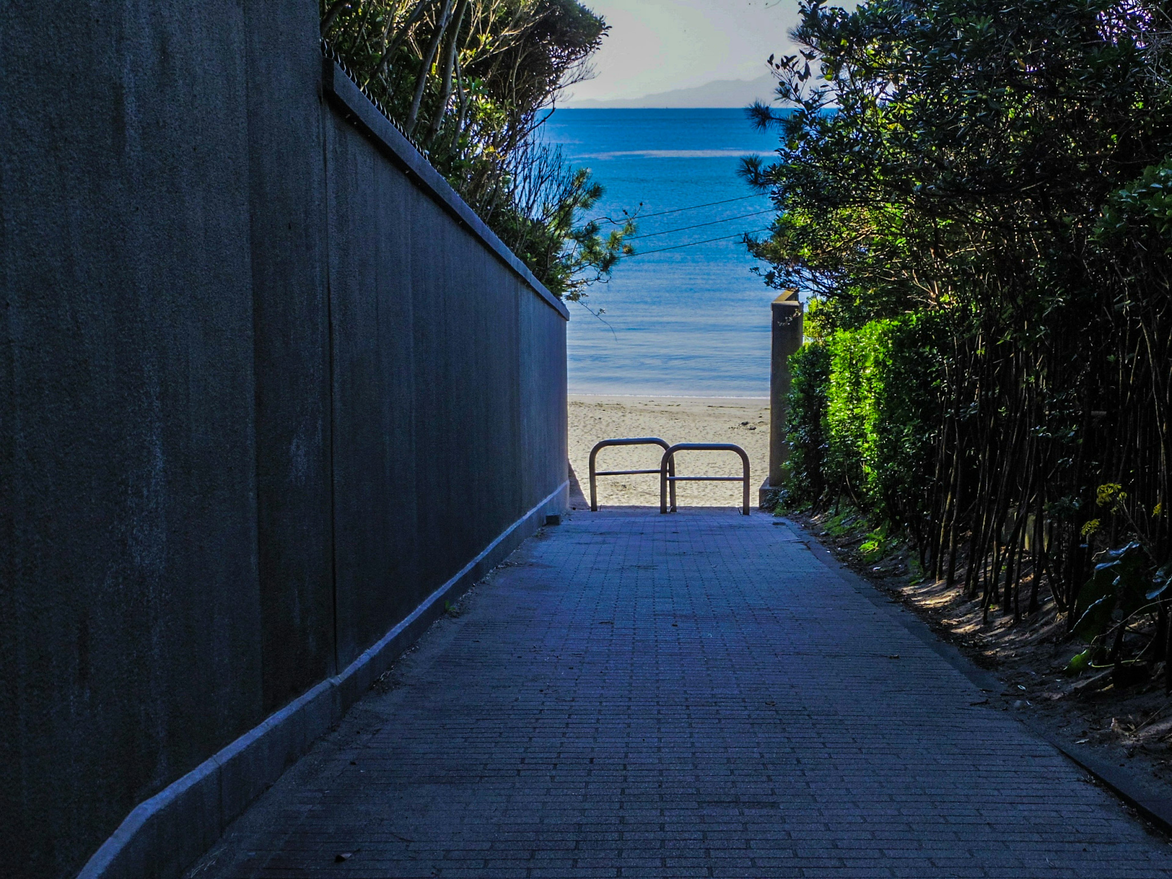 Camino que lleva a la playa con vegetación a ambos lados