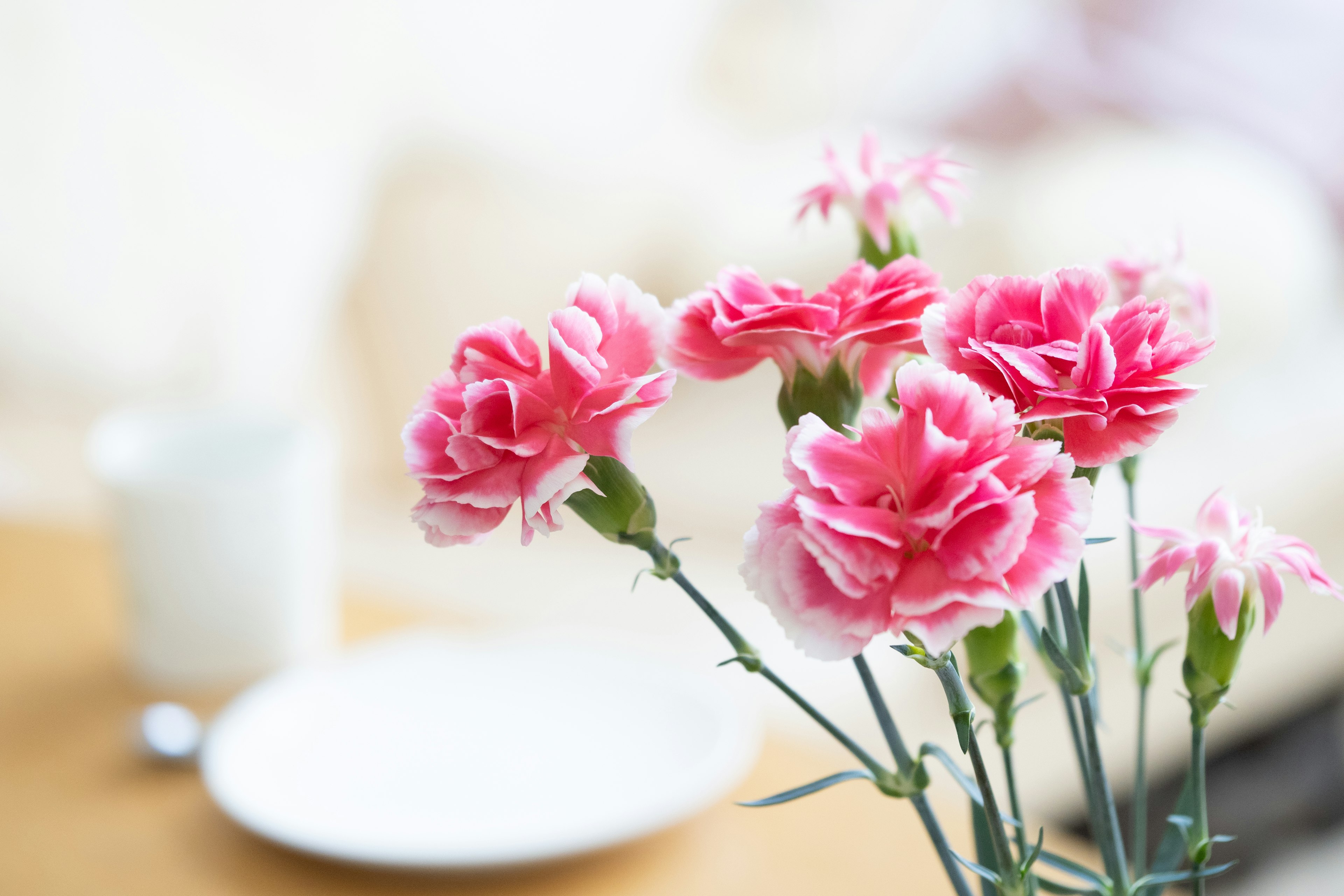 Bouquet di garofani rosa con una tazza e un piatto sfocati sullo sfondo