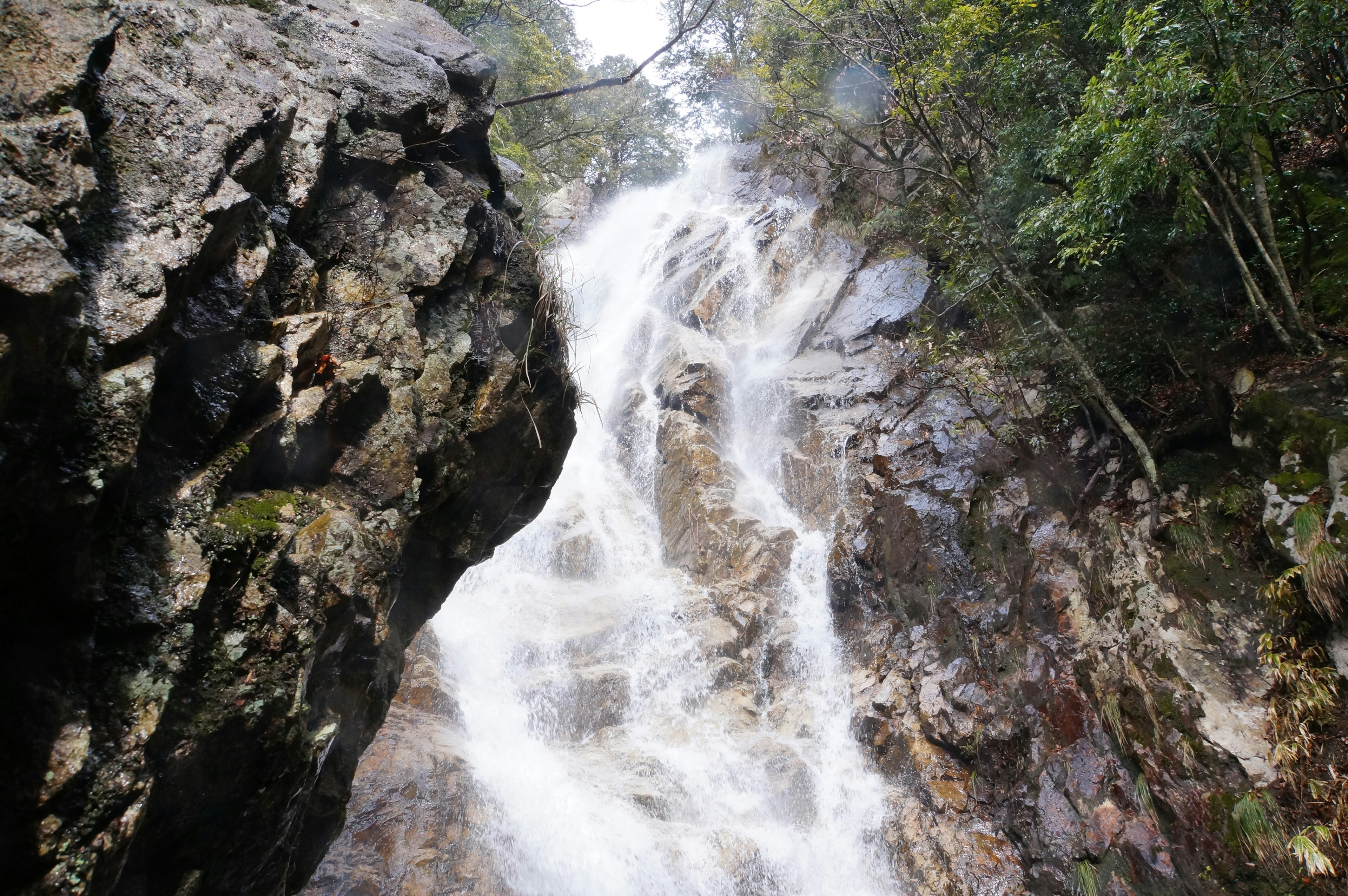 大きな岩の近くで流れる滝の景色 緑の木々に囲まれた自然の美しさ