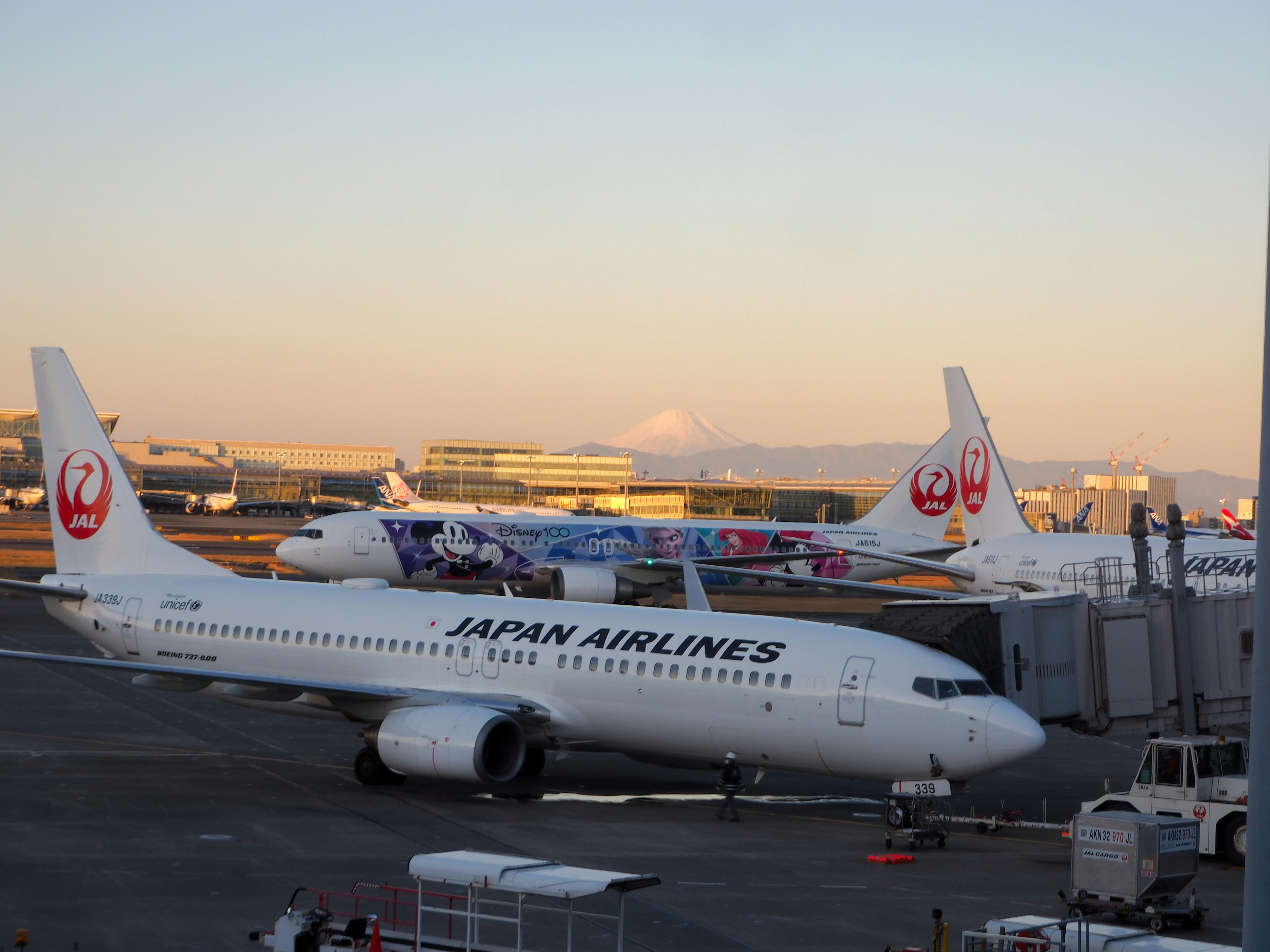 Japan Airlines aircraft at the airport illuminated by sunset