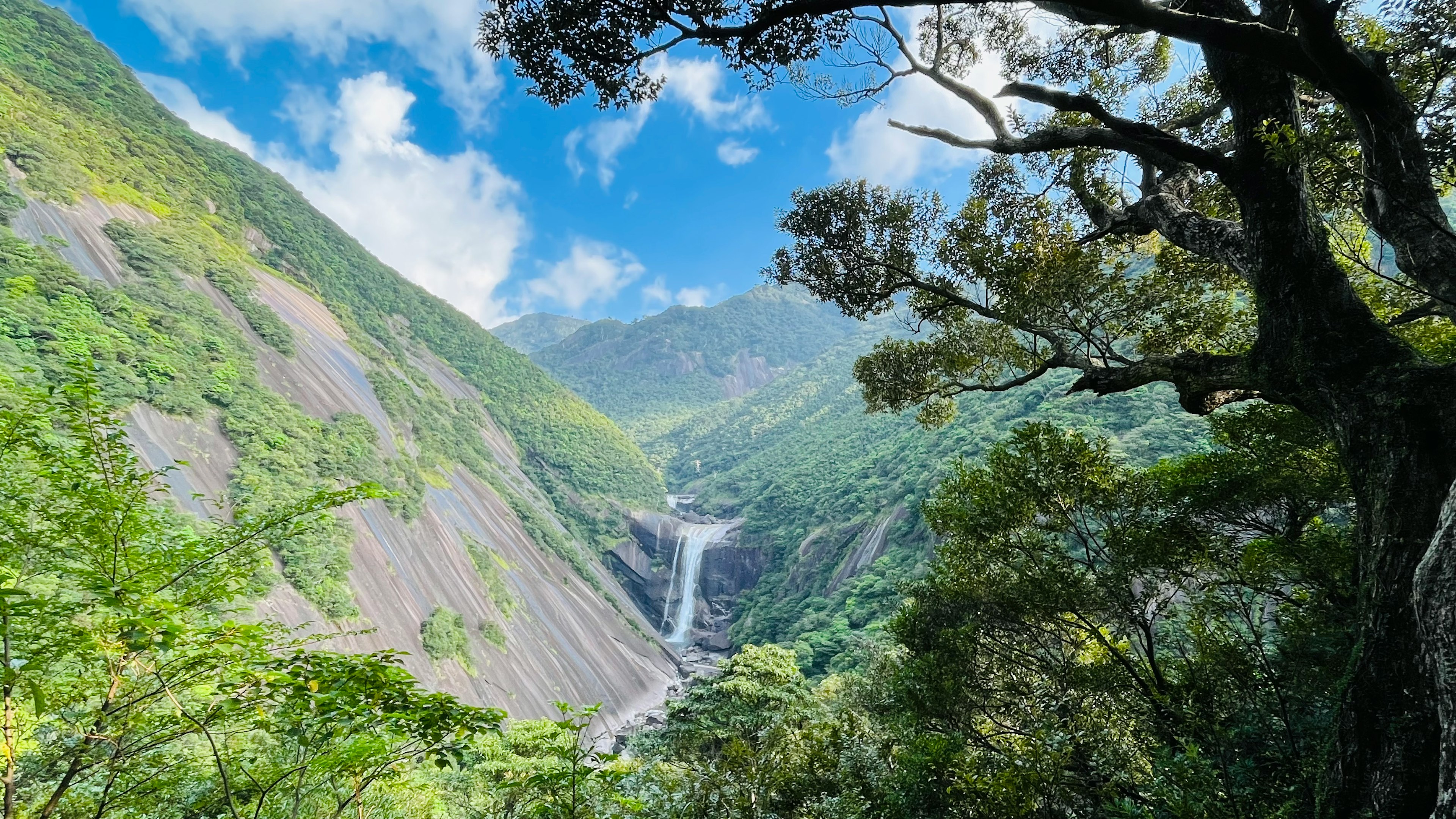 緑豊かな山々と滝を背景にした美しい風景