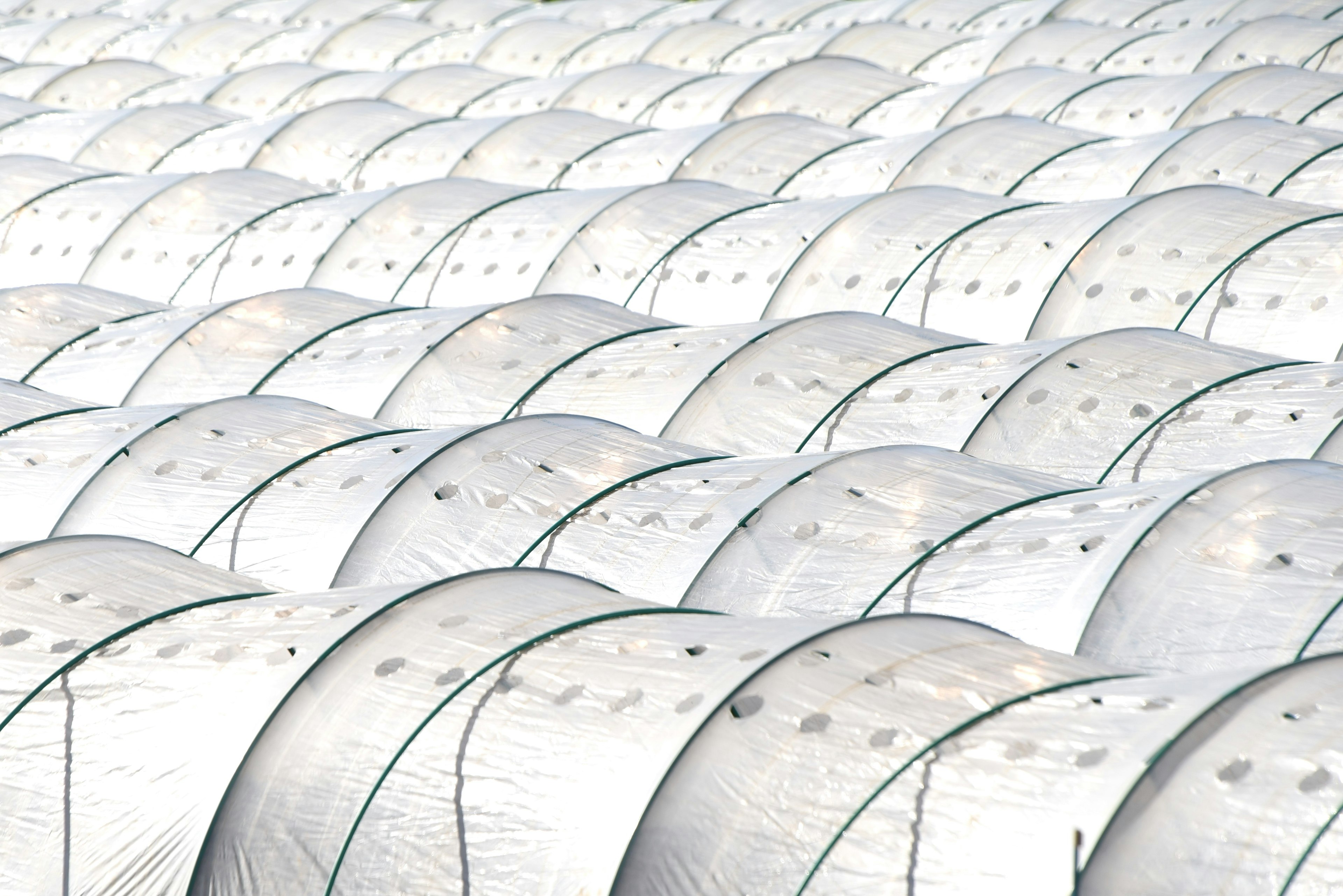 A landscape of neatly arranged transparent greenhouses