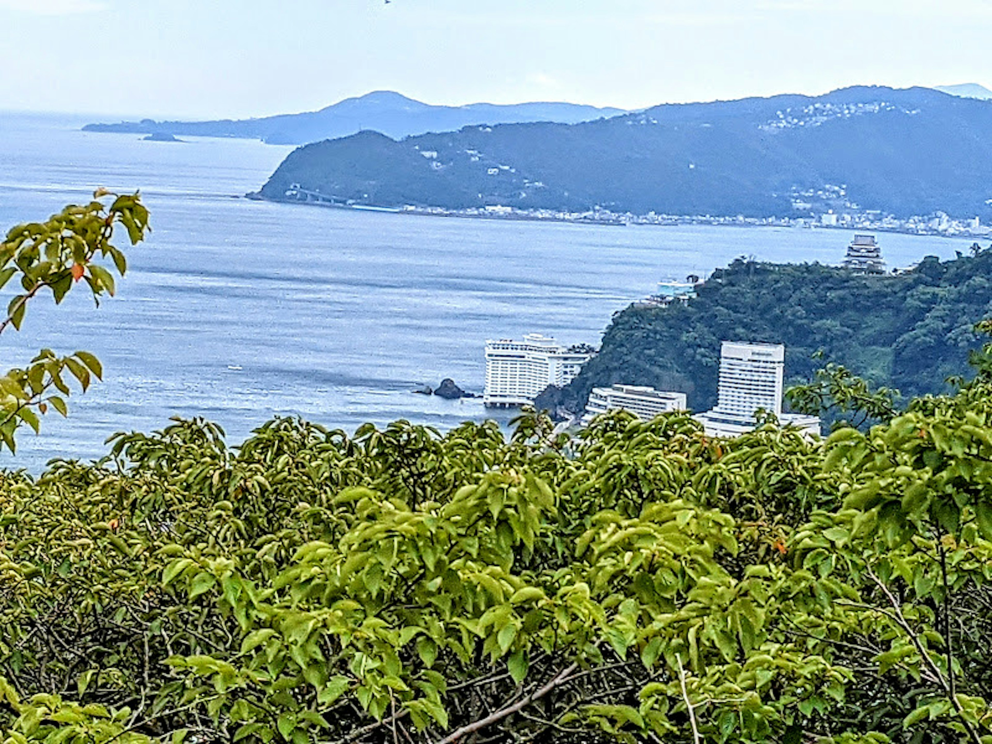 海岸風景，背景為藍色海洋和綠色植物