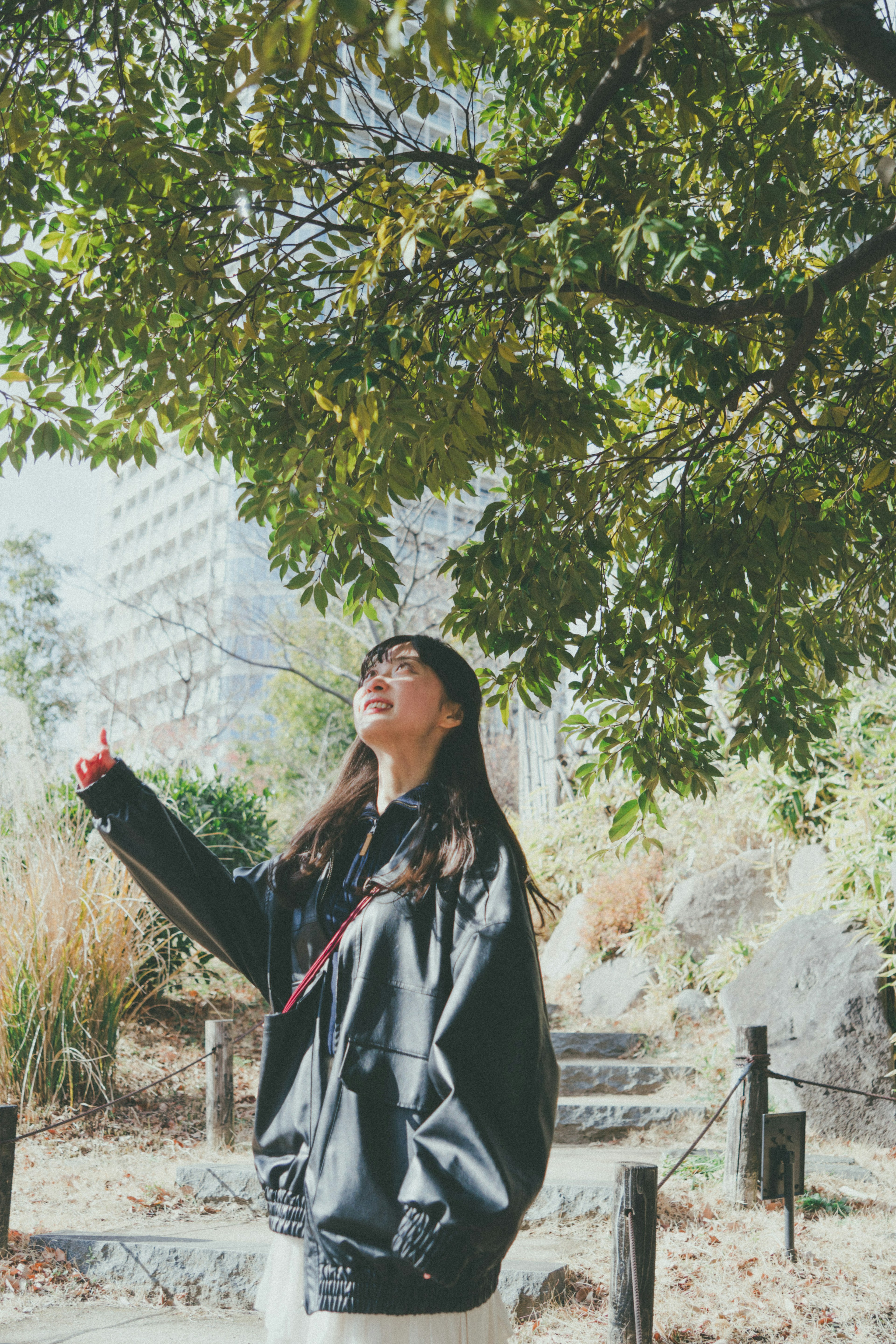 Femme tendant la main vers les feuilles sous un arbre vert