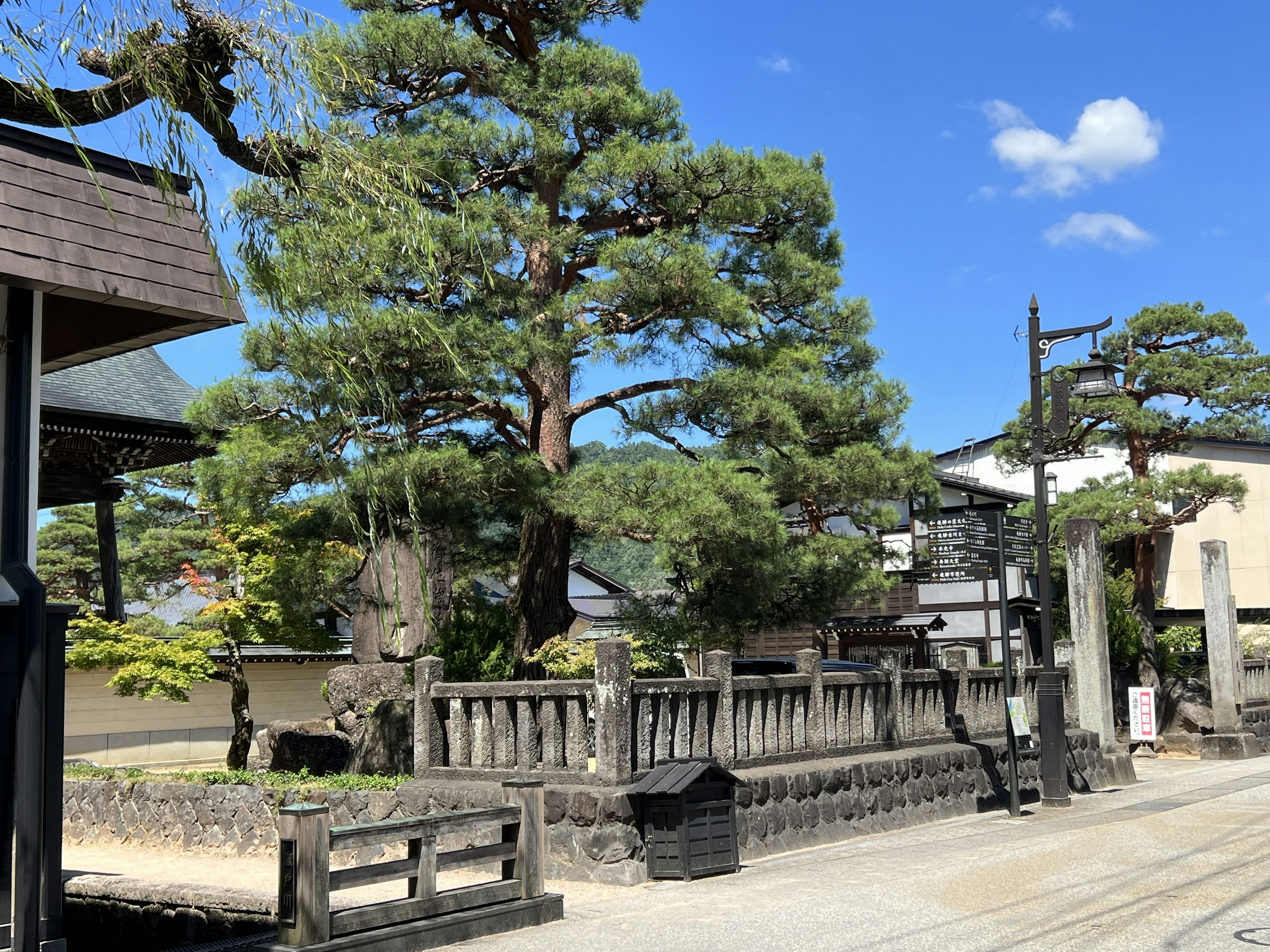 Scenic view of a street with a pine tree and stone wall under blue sky