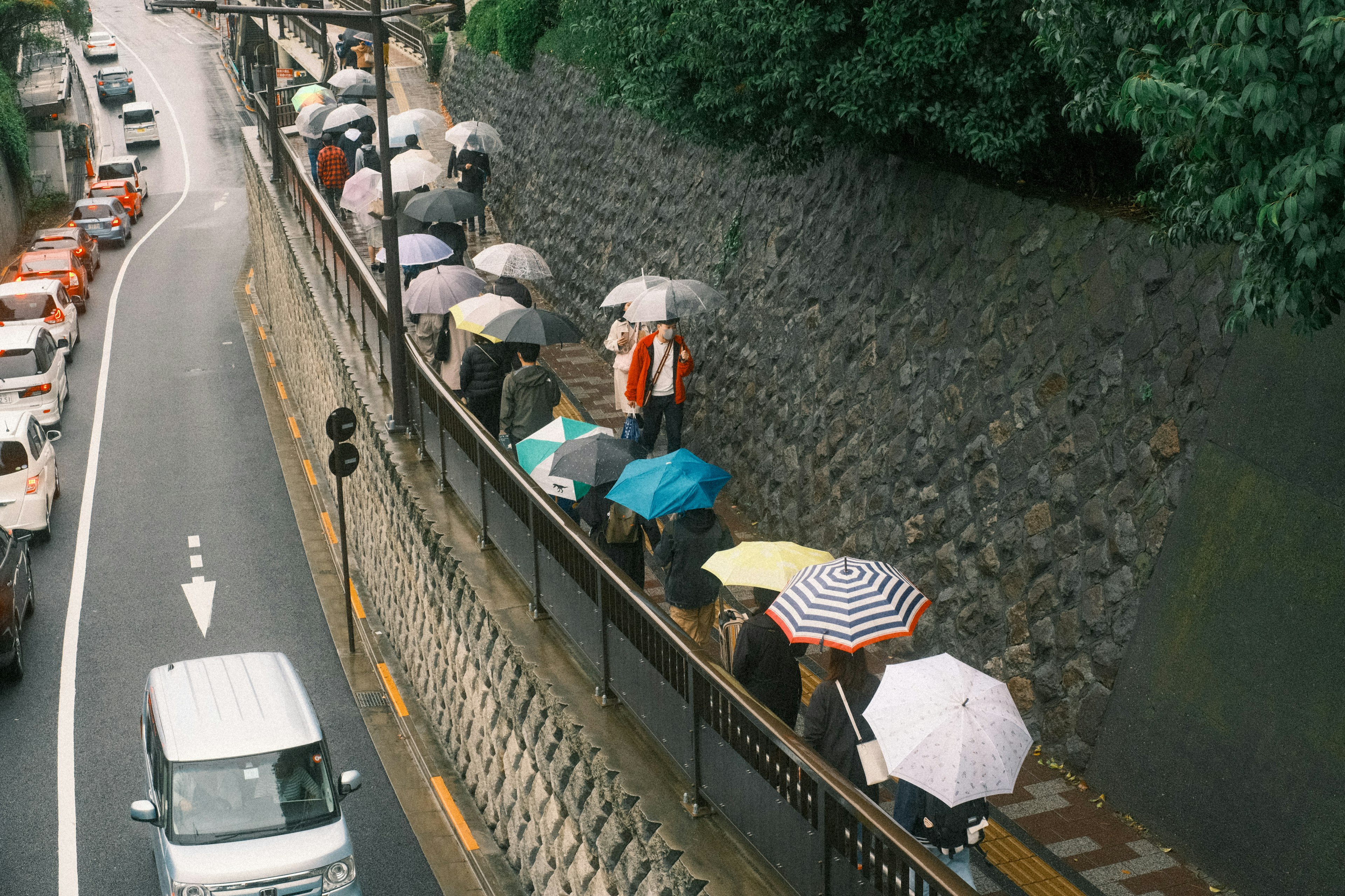 雨の中で傘をさして歩く人々の列と緑の背景