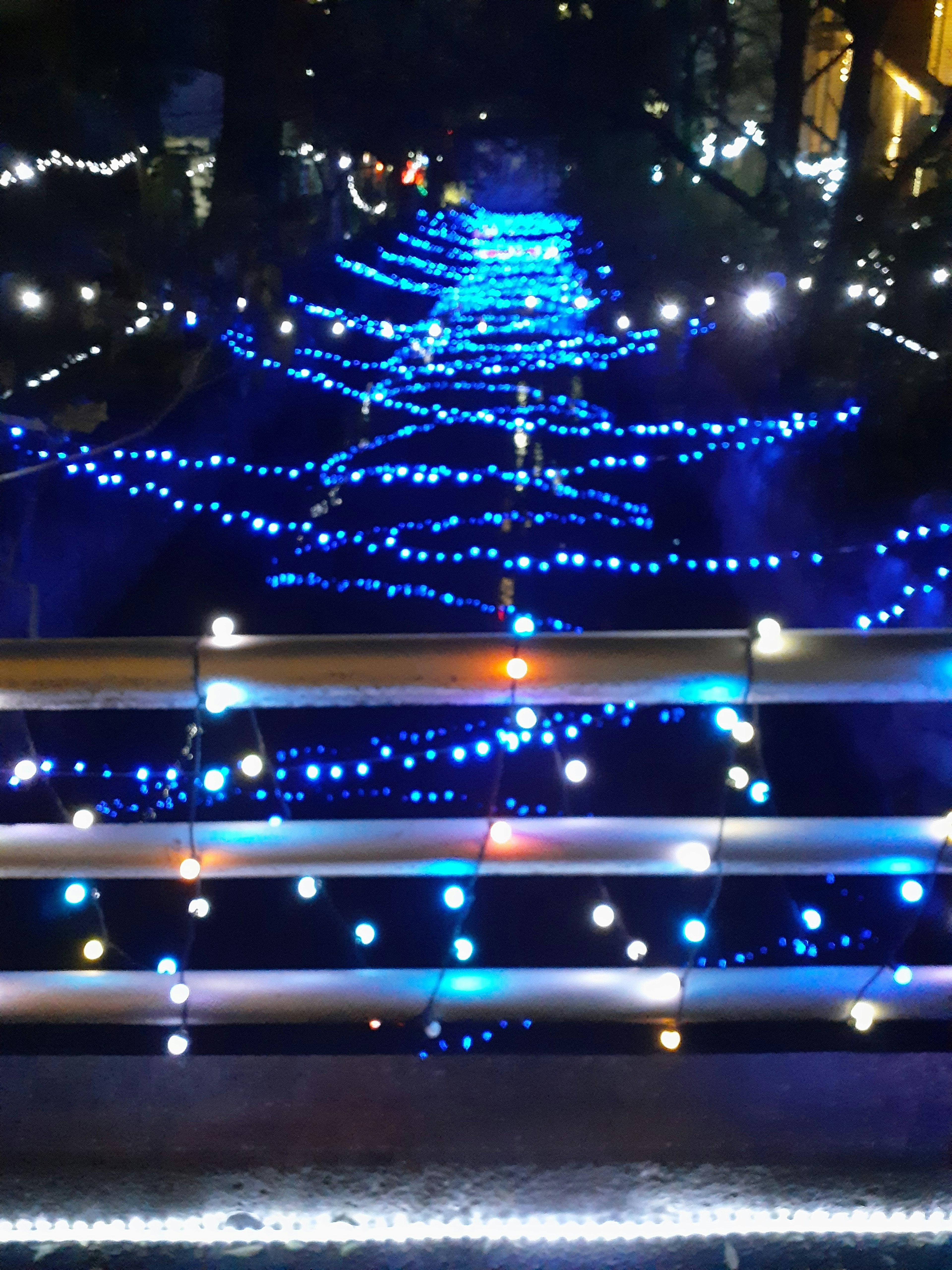 Christmas tree illuminated with blue lights in a festive display