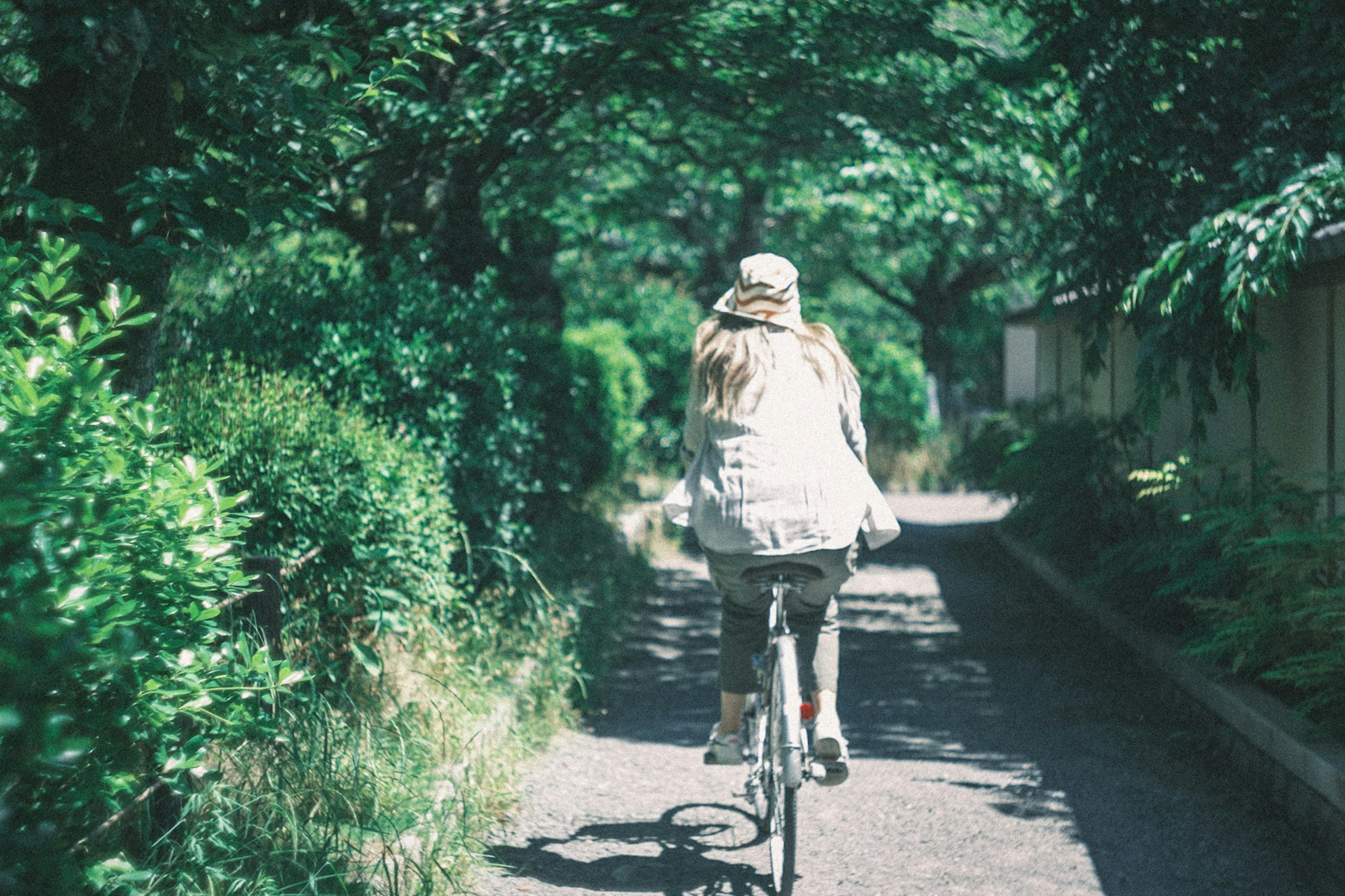 緑に囲まれた小道を自転車で走る女性の後ろ姿