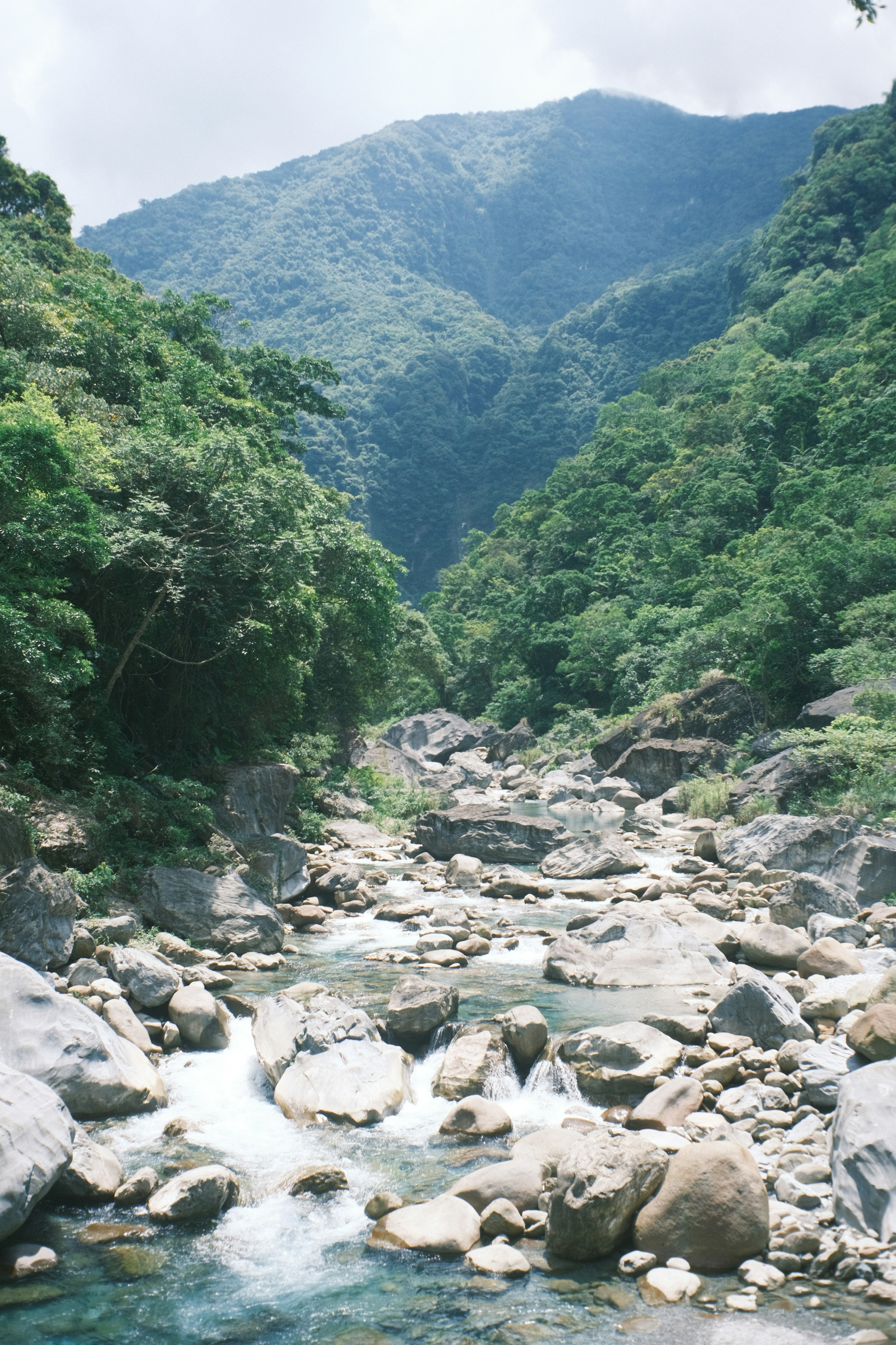 緑豊かな山々に囲まれた清流の風景