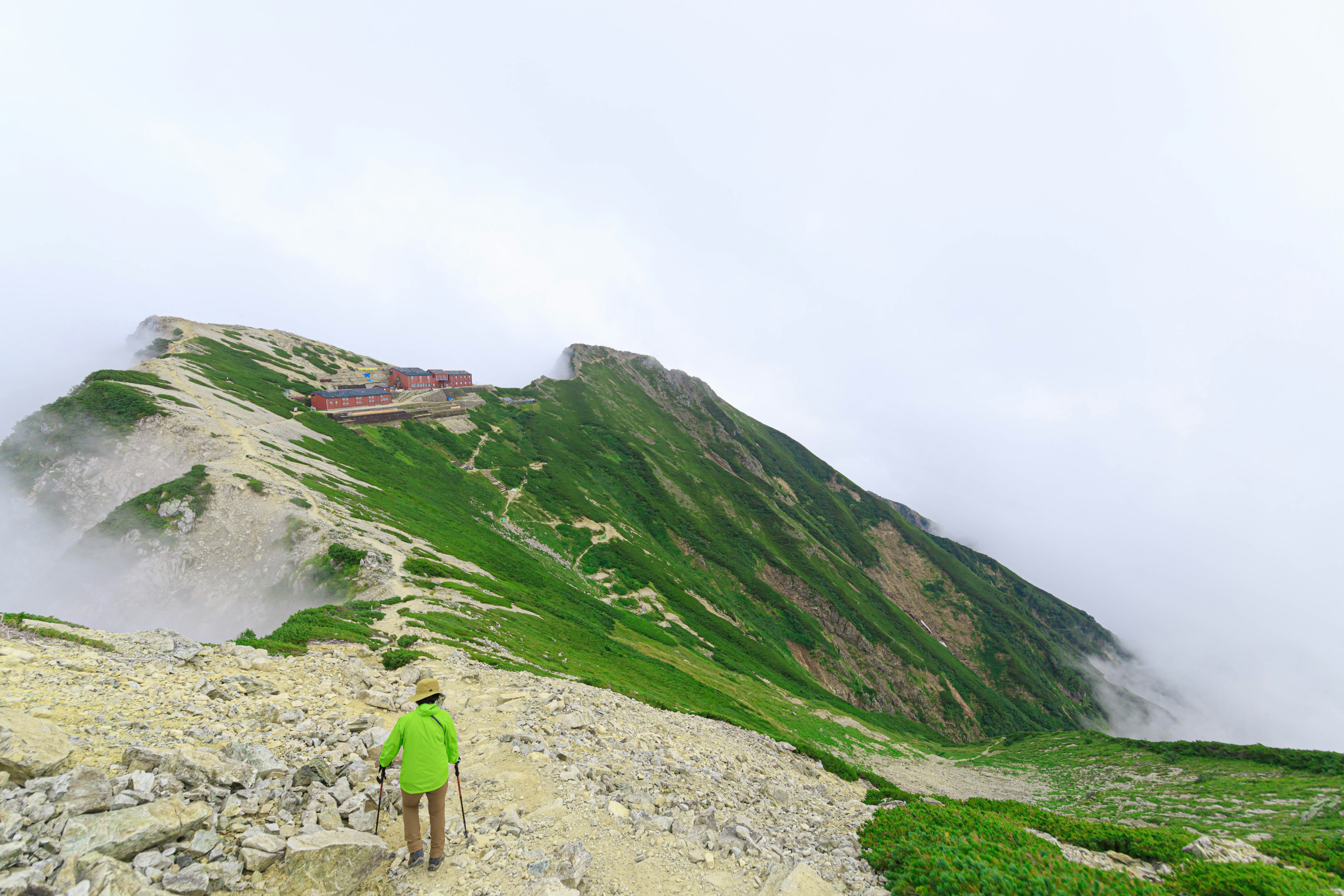 Escursionista che cammina su un sentiero di montagna verde avvolto nella nebbia