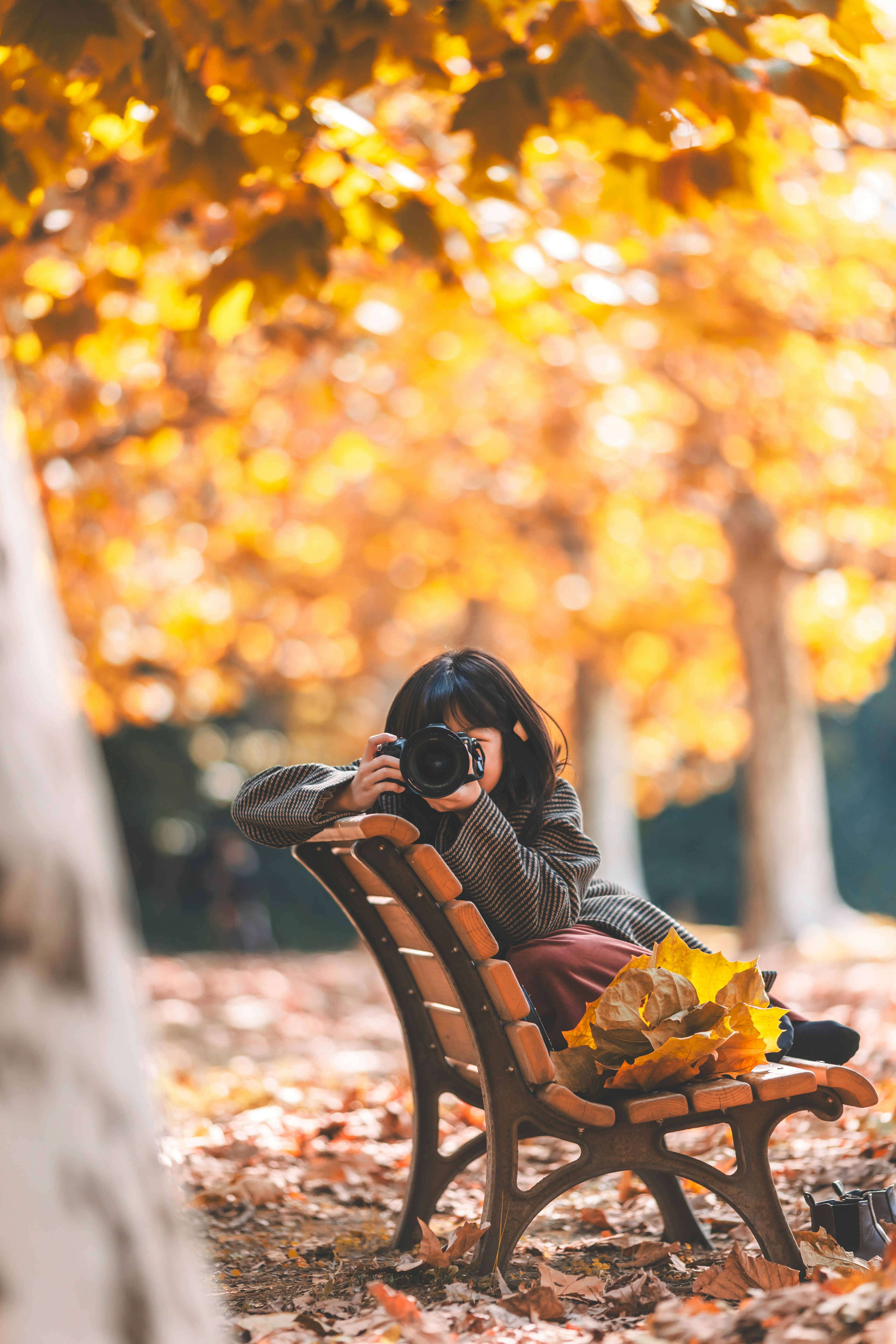 A woman sitting on a bench in an autumn park holding a camera