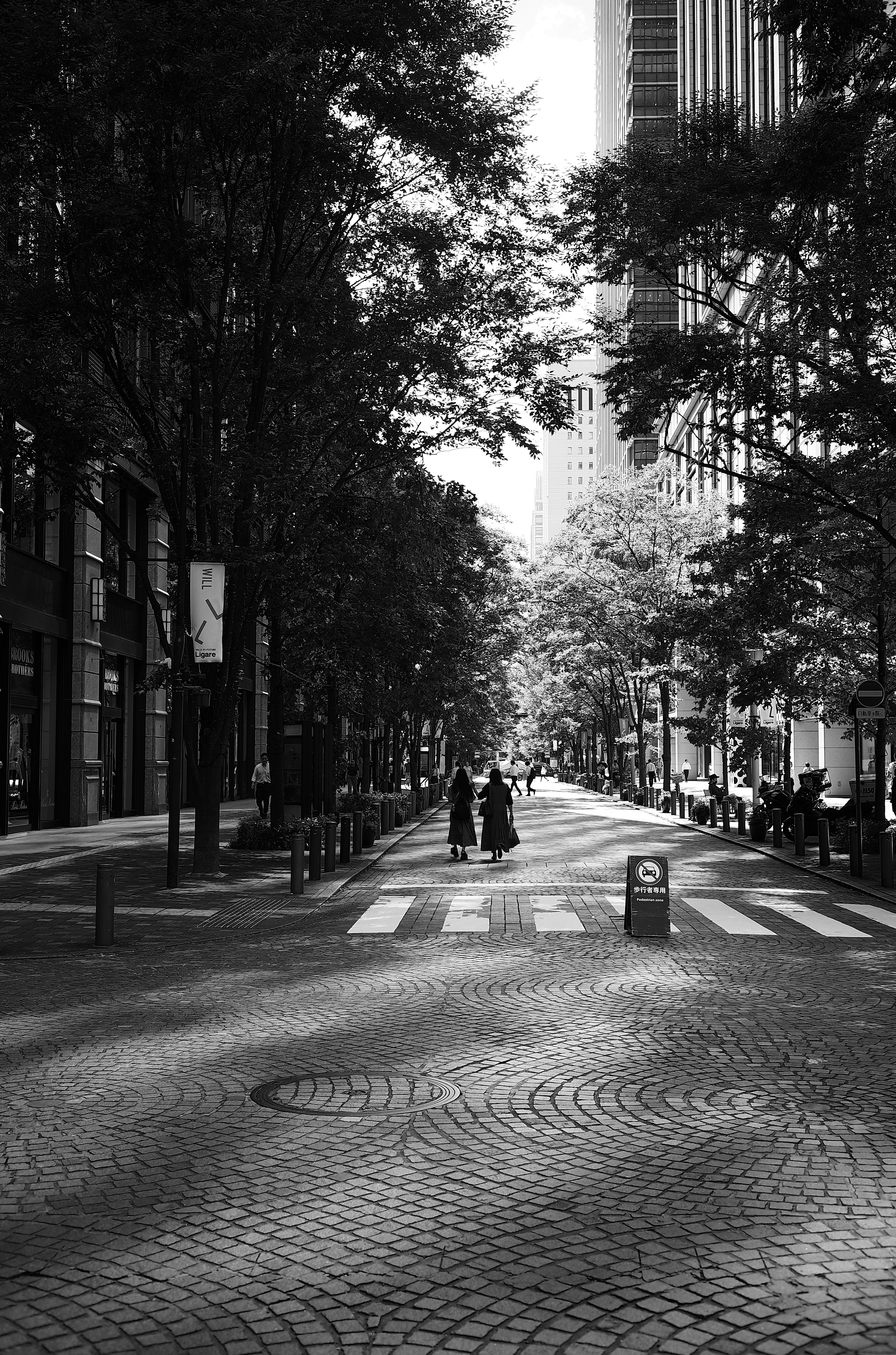 Two figures standing on a paved street surrounded by tall buildings