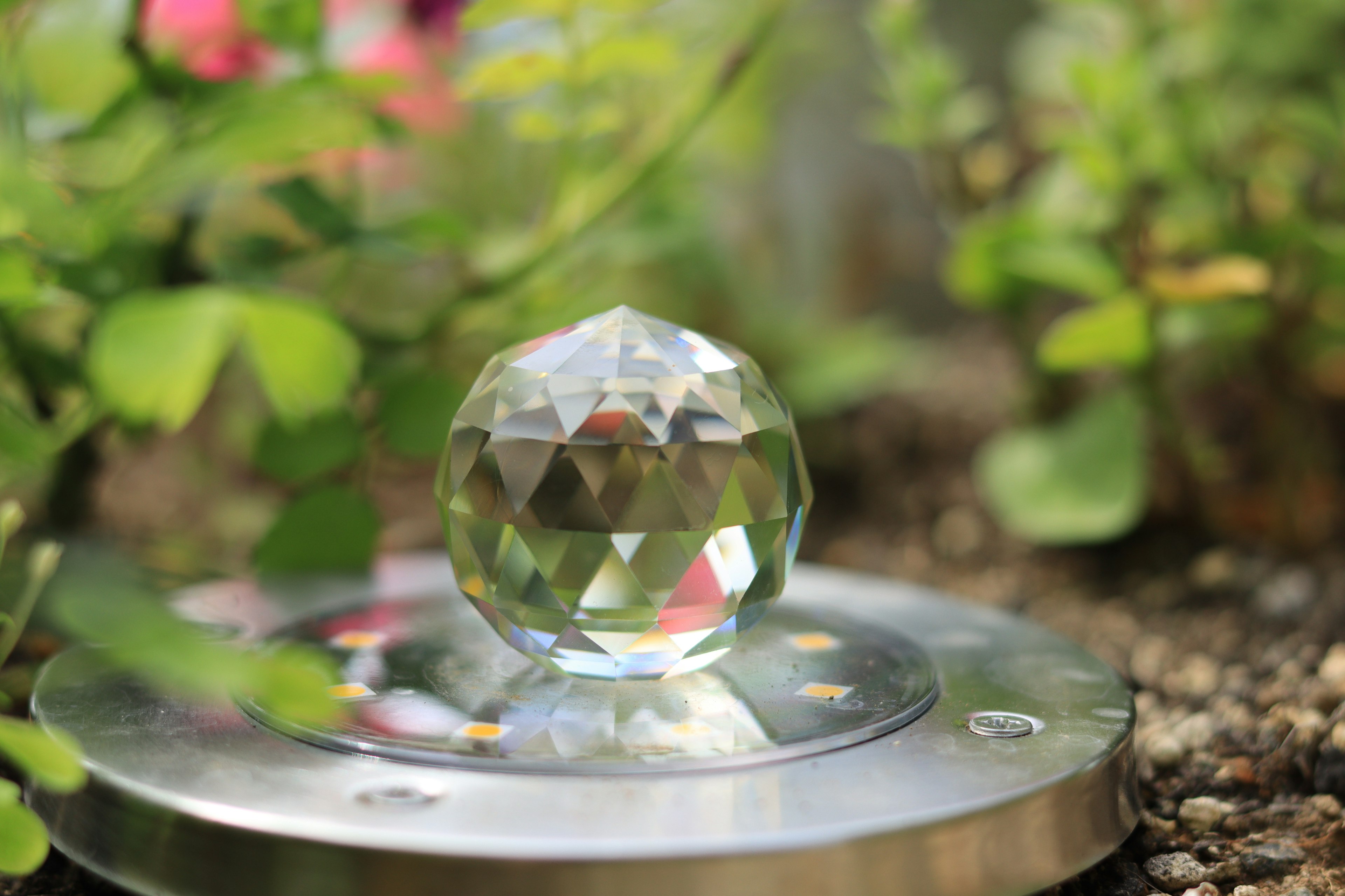 A transparent faceted crystal placed among green plants