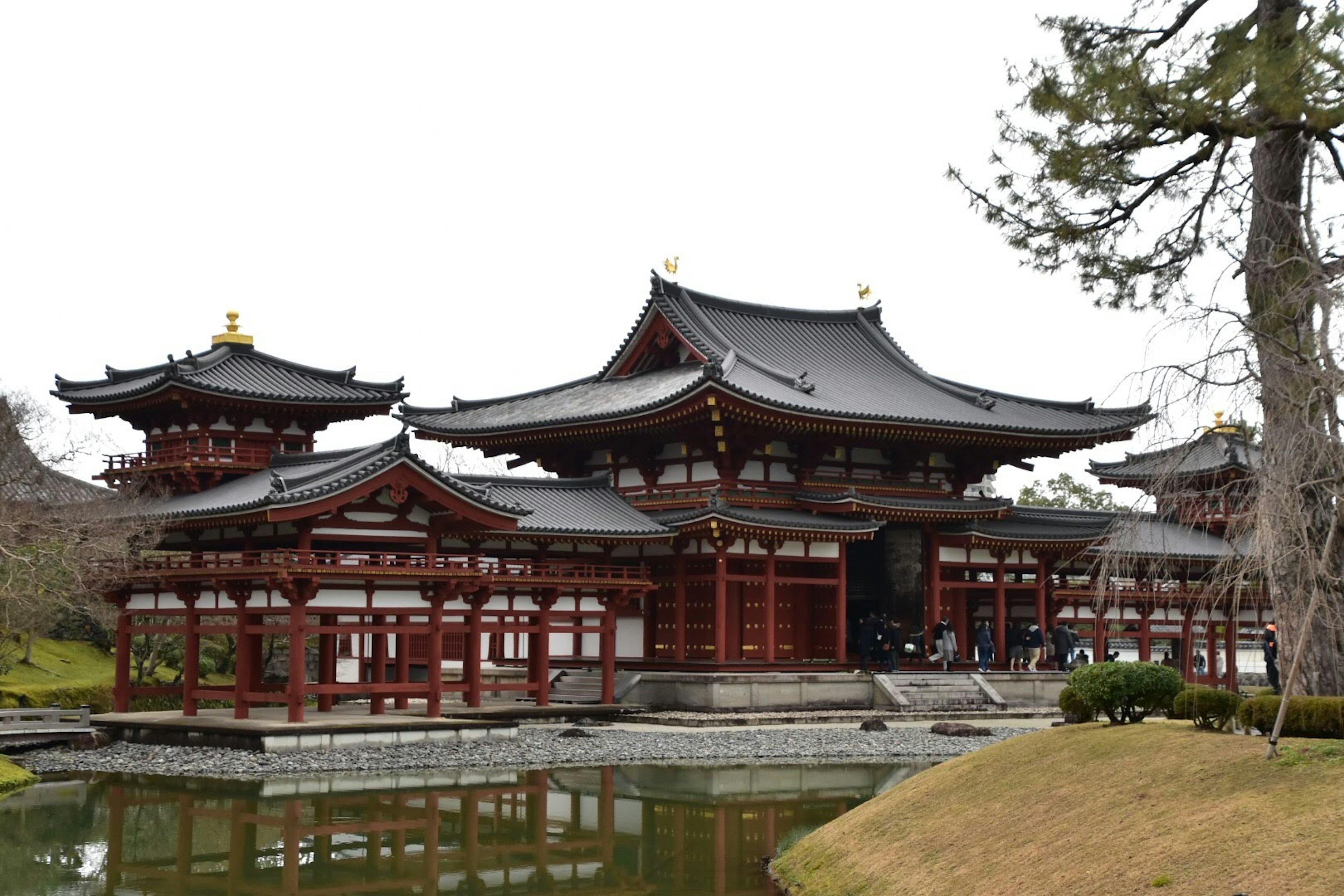 Templo Byodoin que muestra arquitectura tradicional y jardín sereno