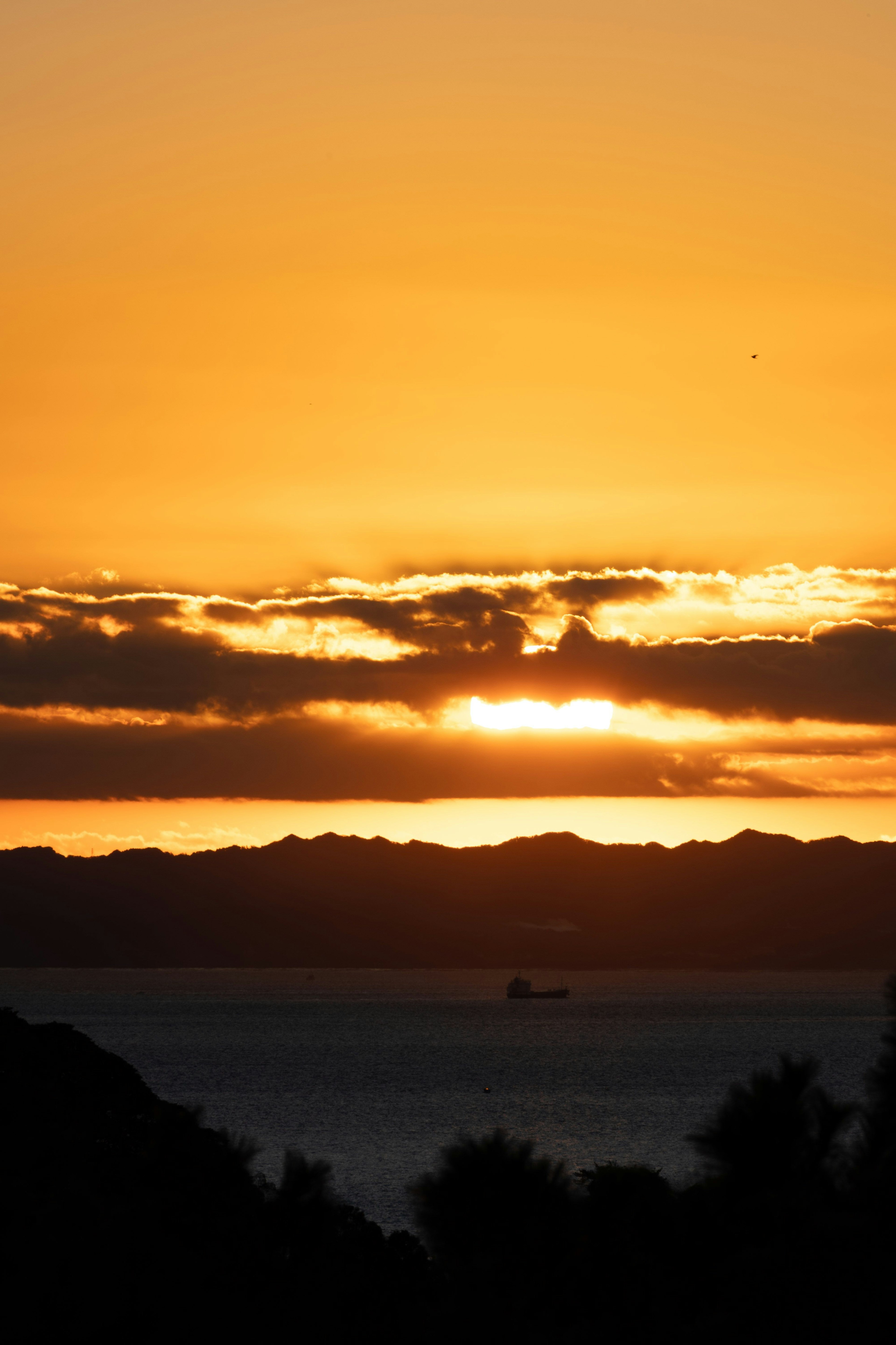 夕日が海に沈む美しい風景 様々なオレンジと黄色の色合いが空を彩る