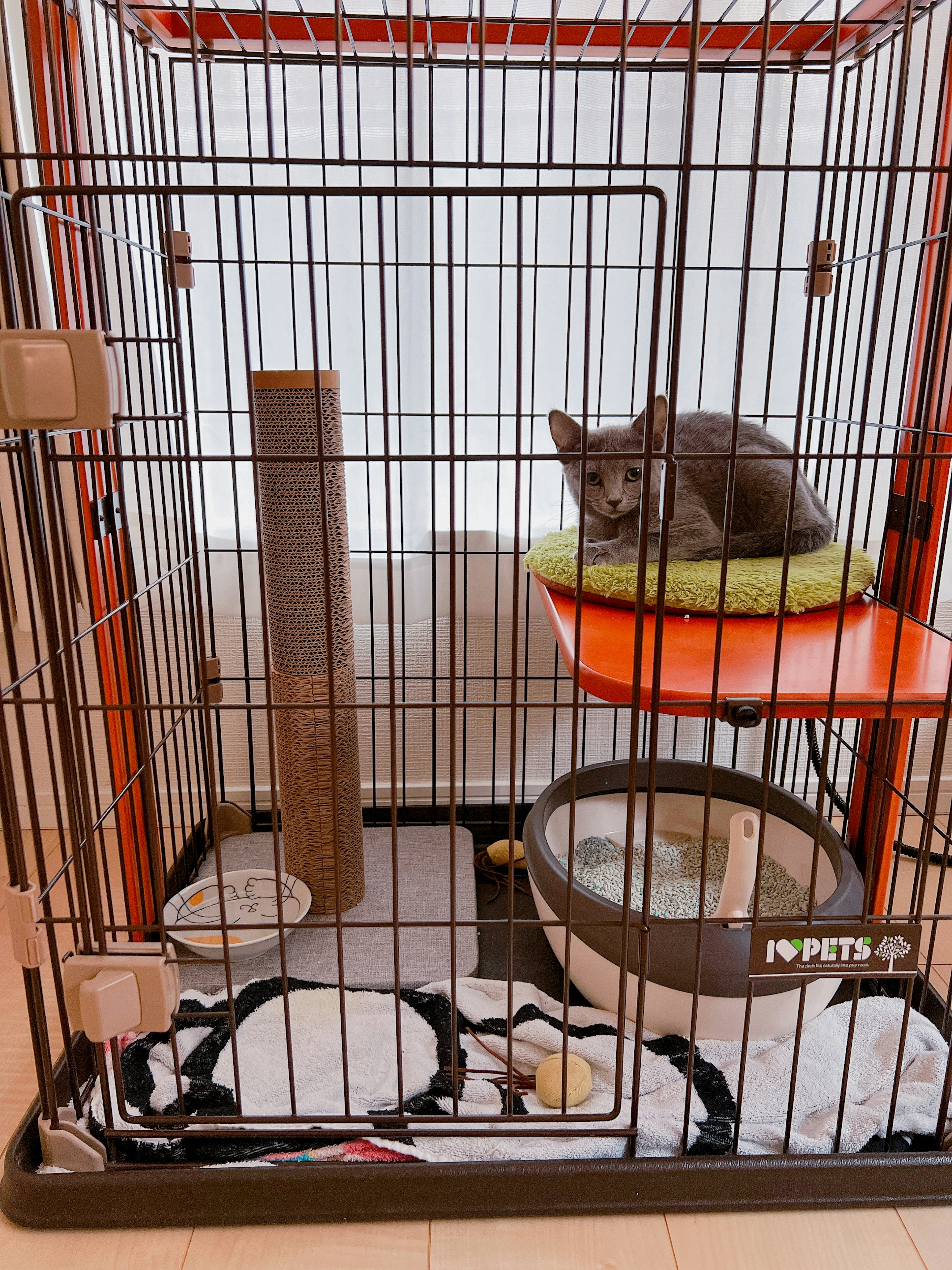 A cat relaxing inside a cat cage featuring an orange shelf and a scratching post