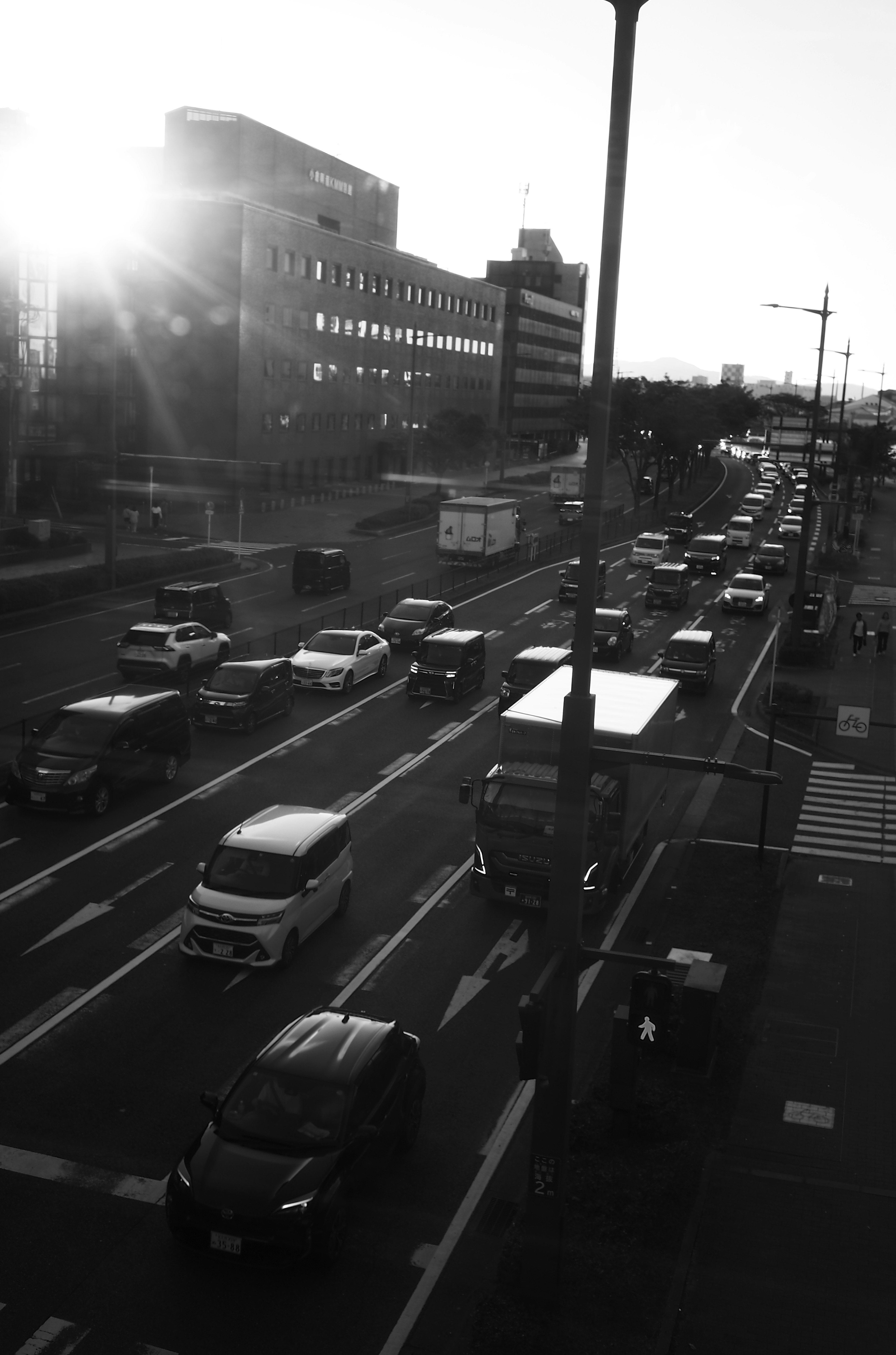 黑白城市交通场景 日落光线在路面反射 车辆在行驶