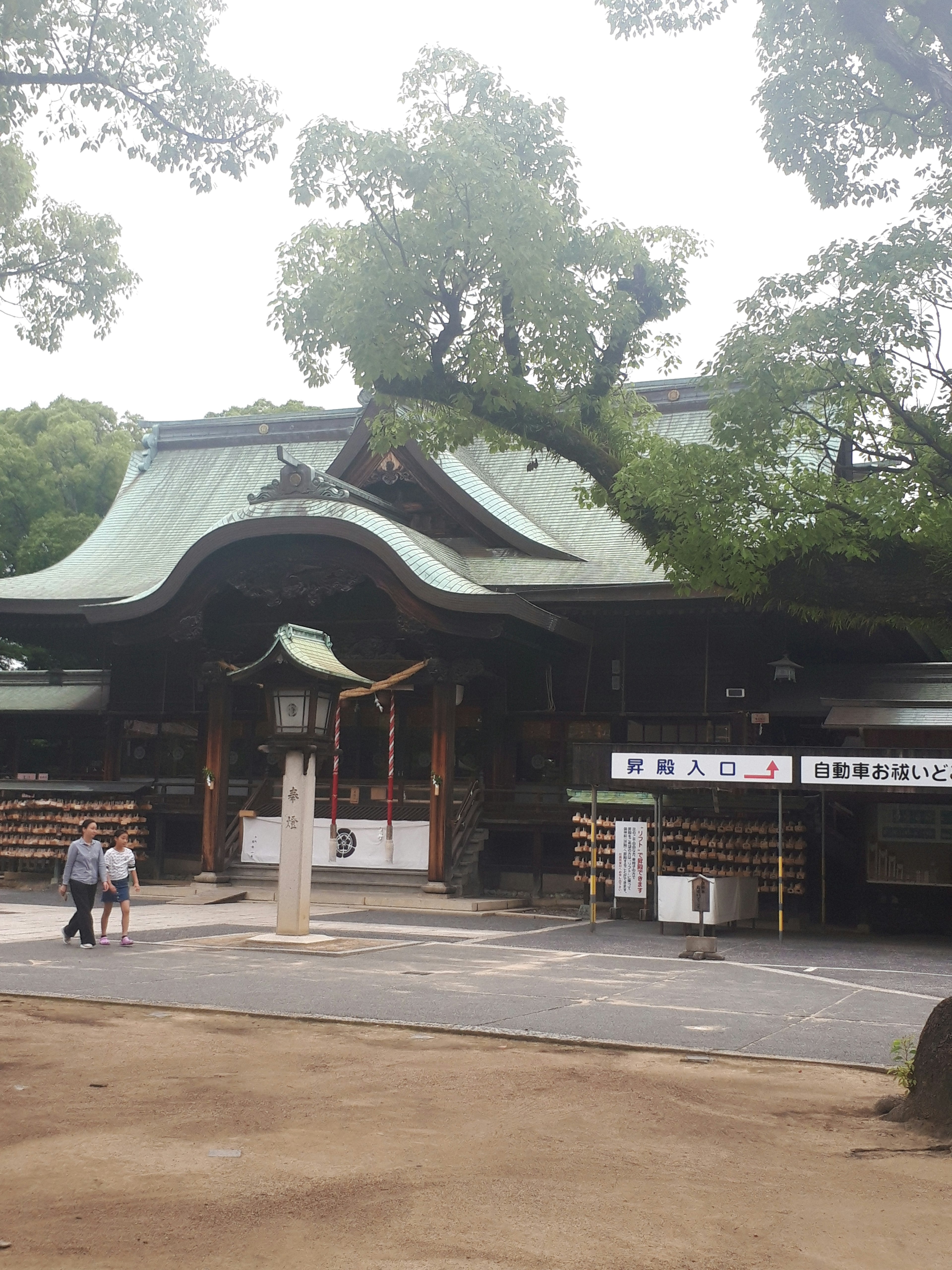 伝統的な日本の神社の建物と大きな木が特徴