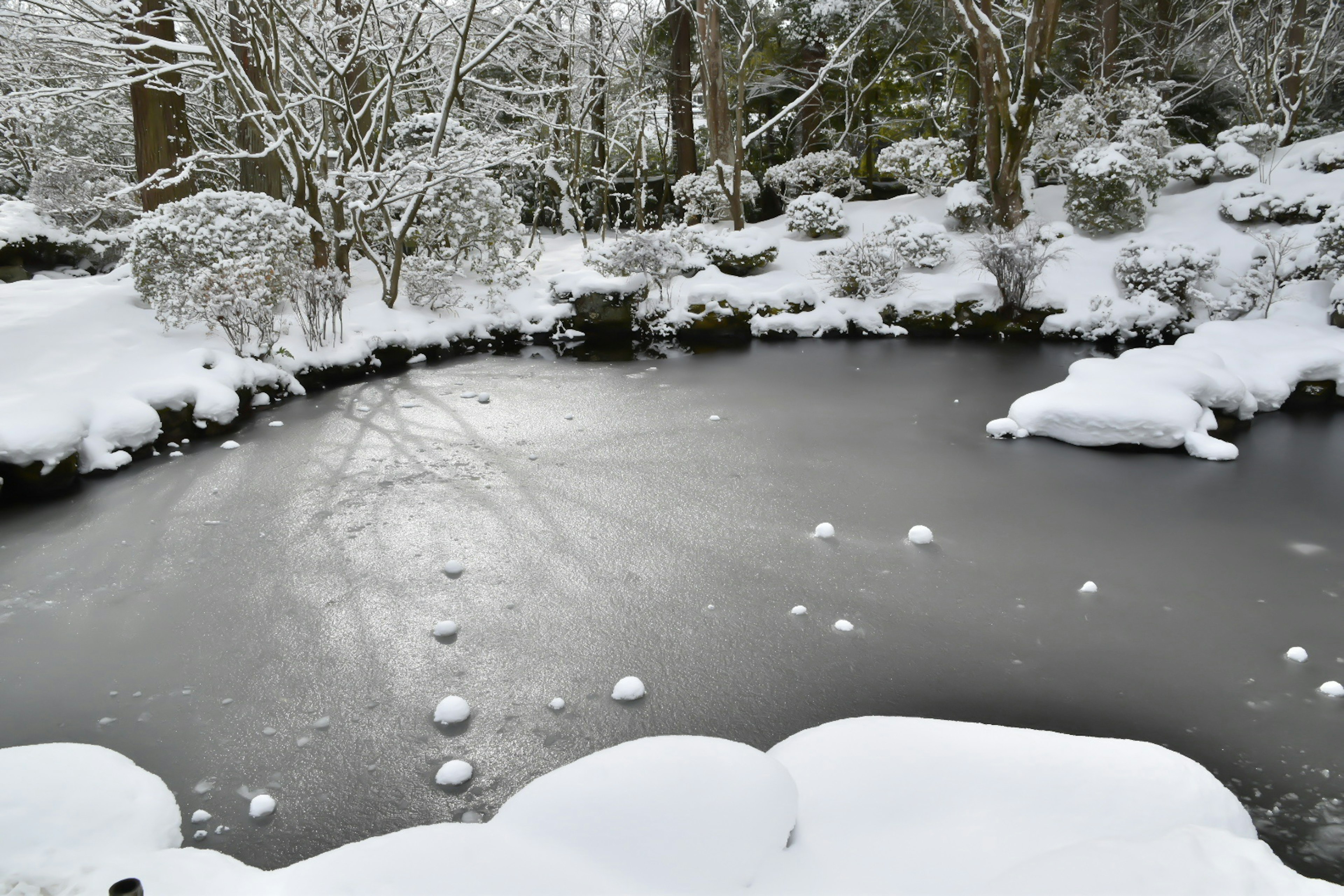 Estanque del jardín cubierto de nieve rodeado de árboles